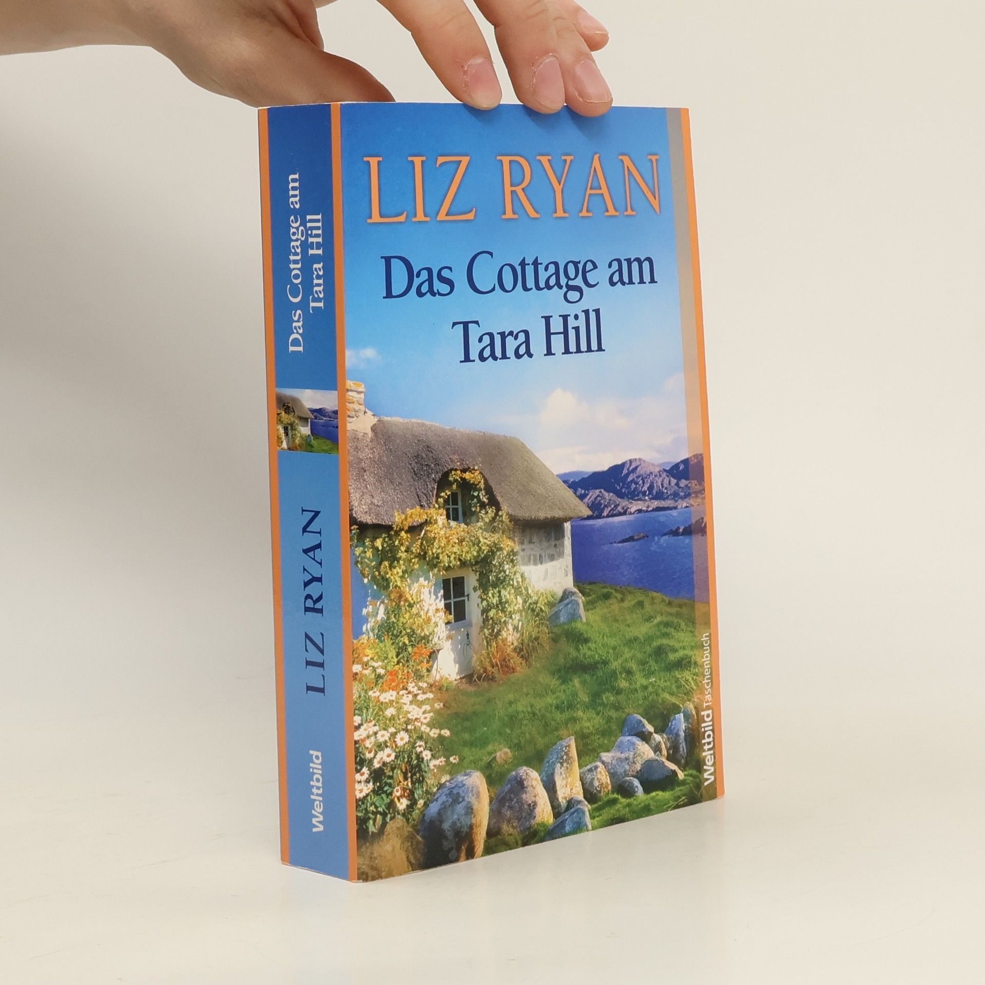 Liz Ryan Das Cottage am Tara Hill