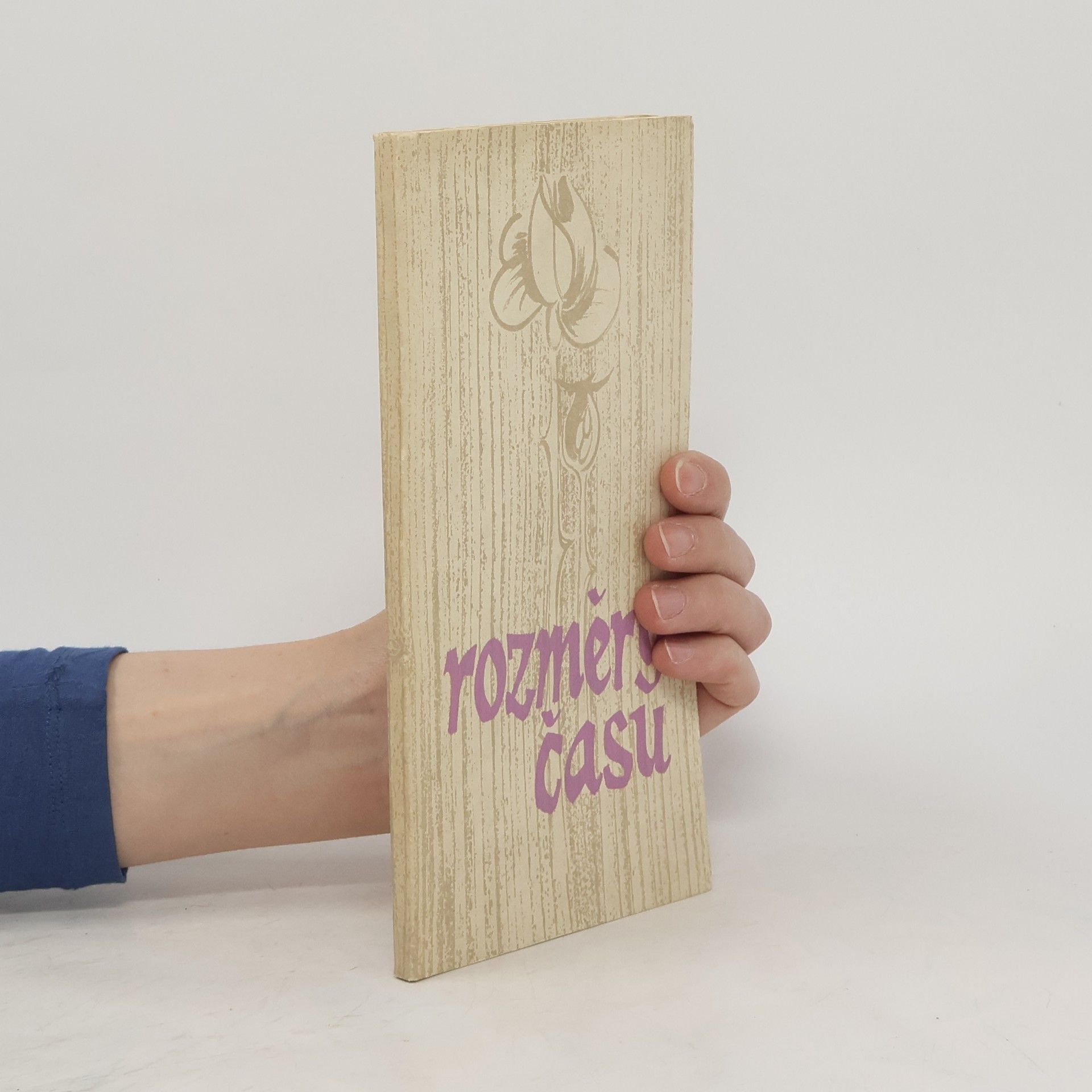 Kolektiv autorů Rozměry času