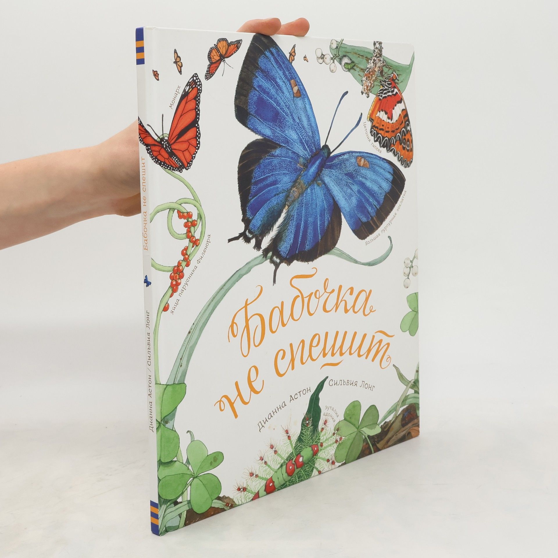 Дианна Астон Бабочка не спешит