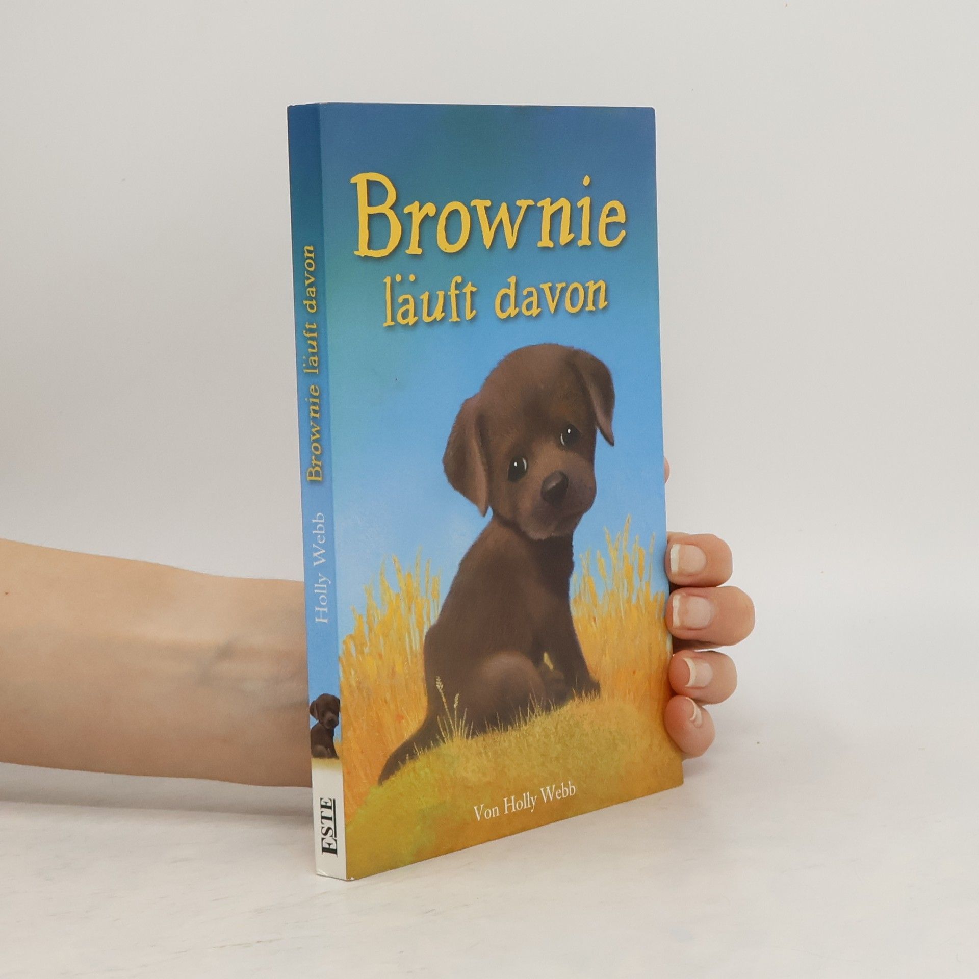 Holly Webb Brownie läuft davon