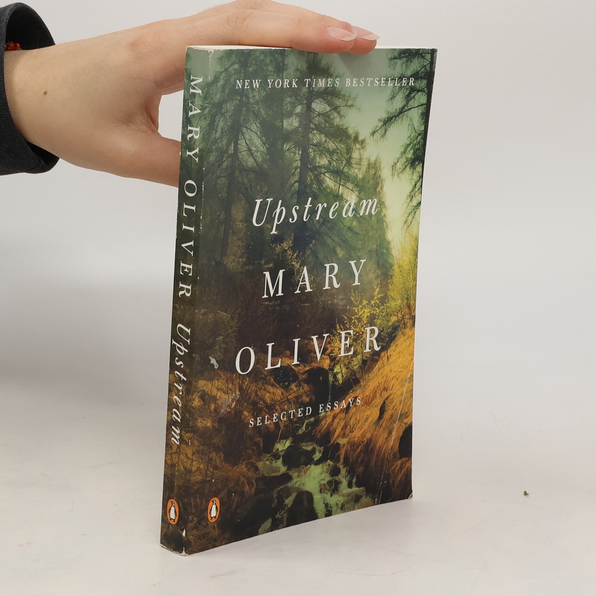 Mary Oliver Upstream
