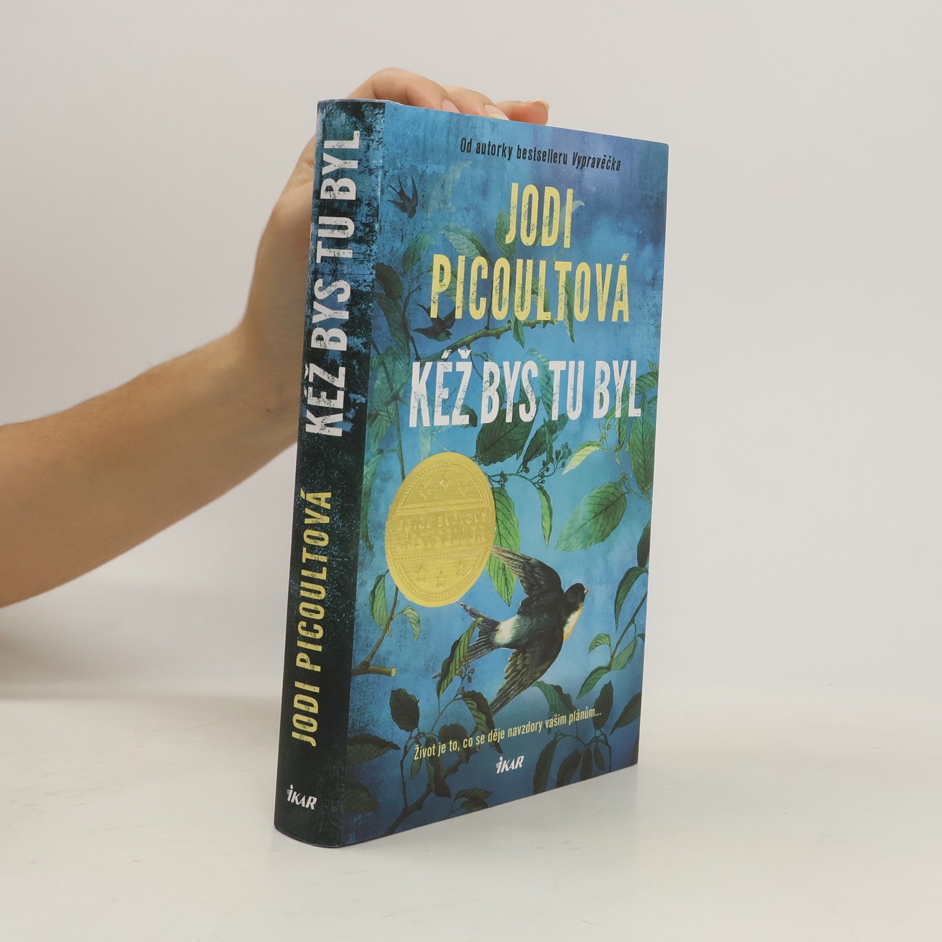 Marcela Nejedlá Kéž bys tu byl
