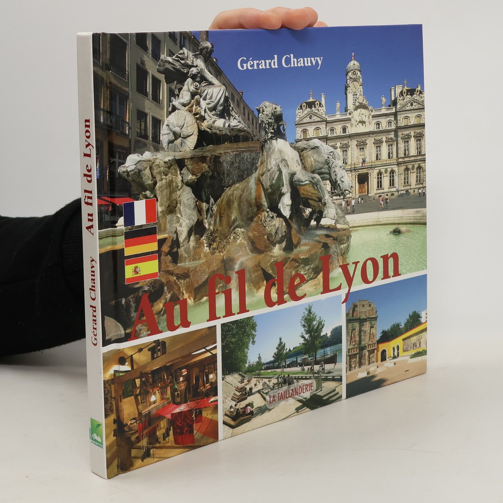 Gérard Chauvy Au fil de Lyon