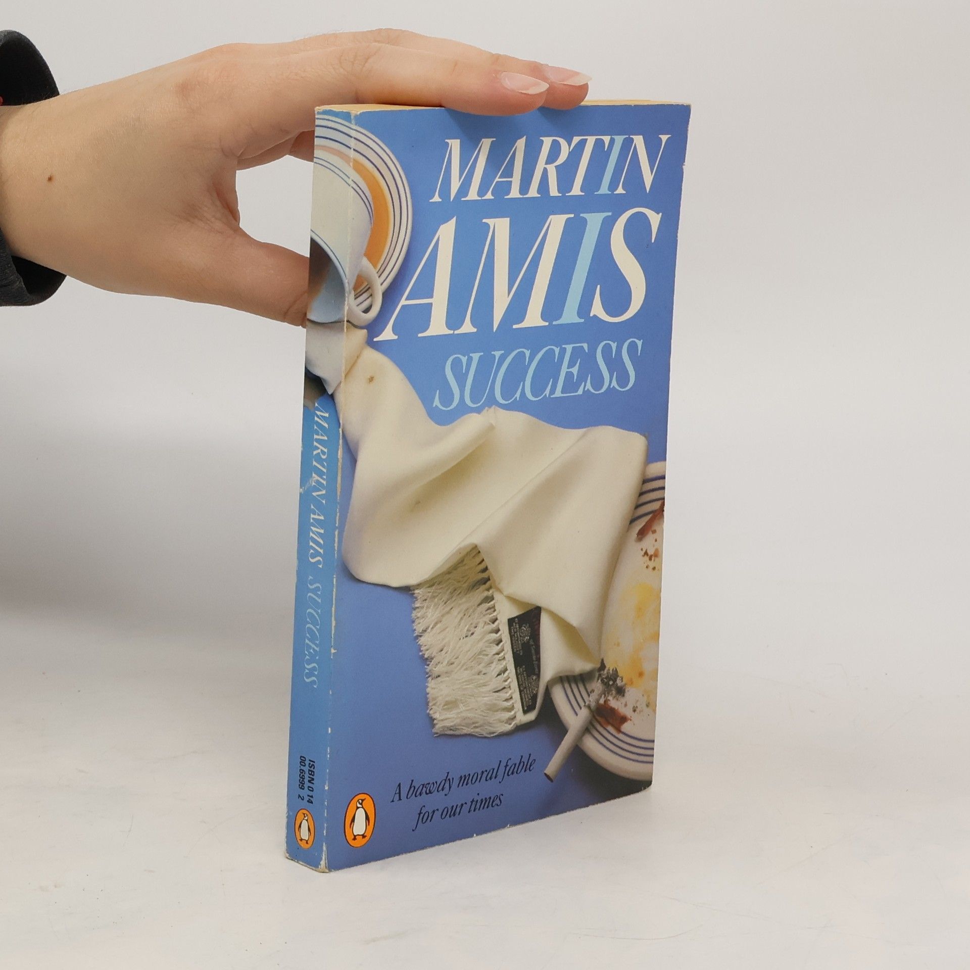 Martin Amis Success