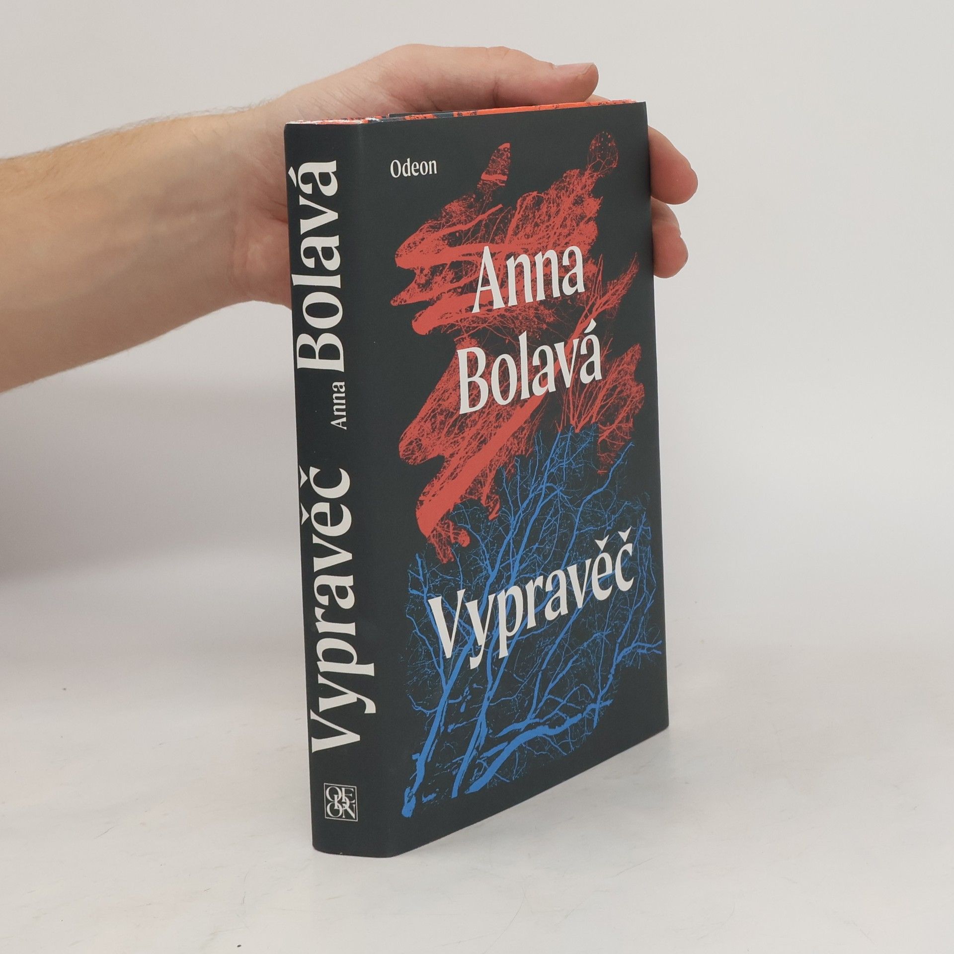 Anna Bolavá Vypravěč