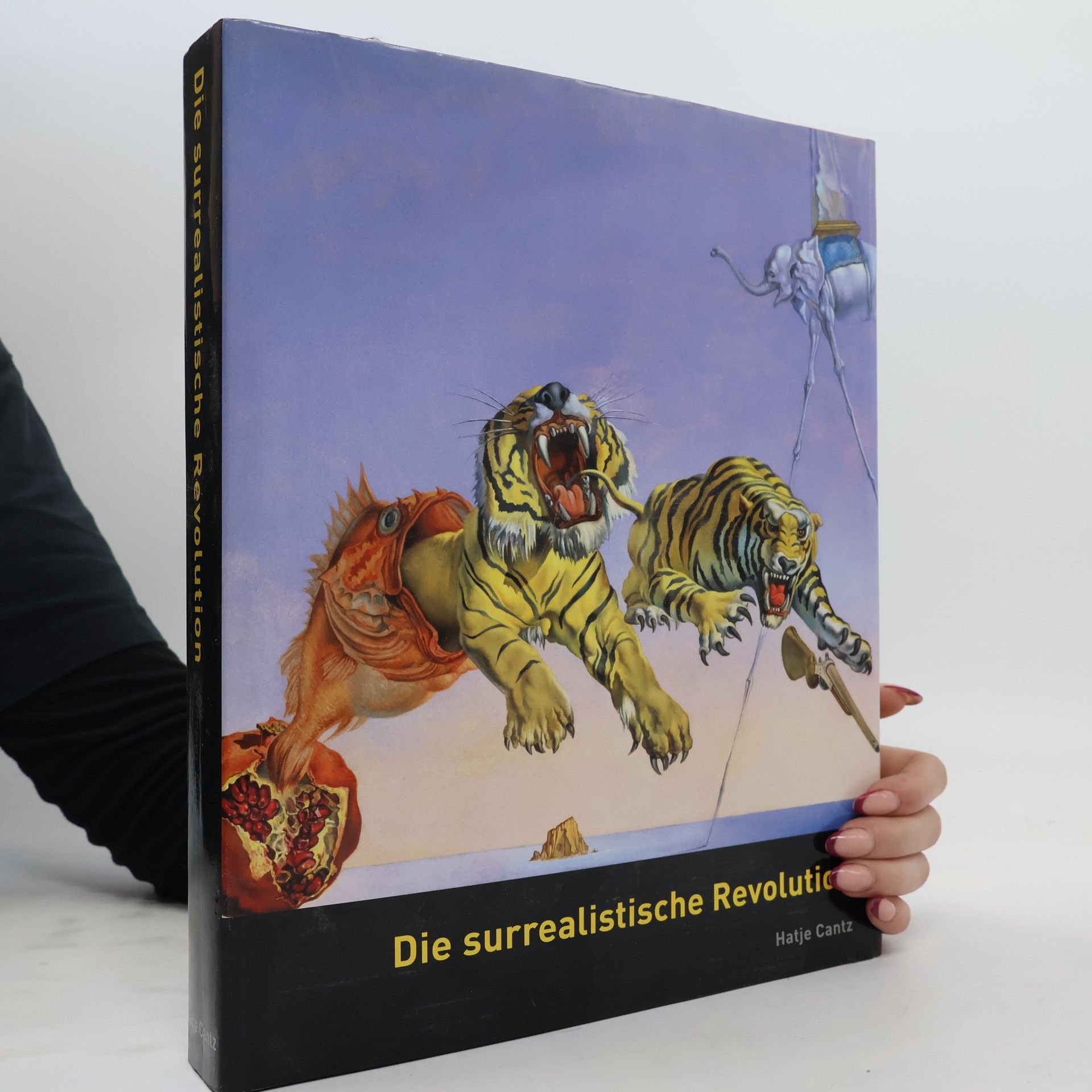 Werner Spies Die surrealistische Revolution