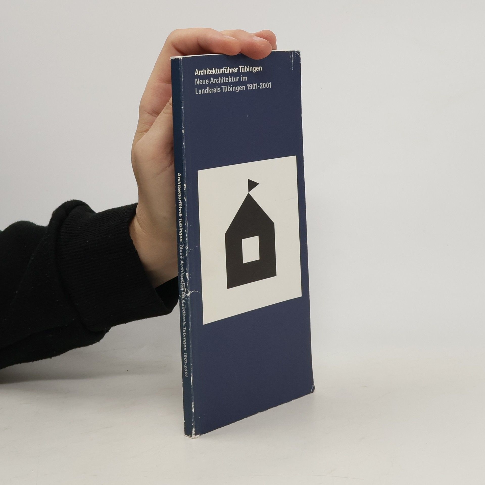 Ulrike Pfeil Architekturführer Tübingen