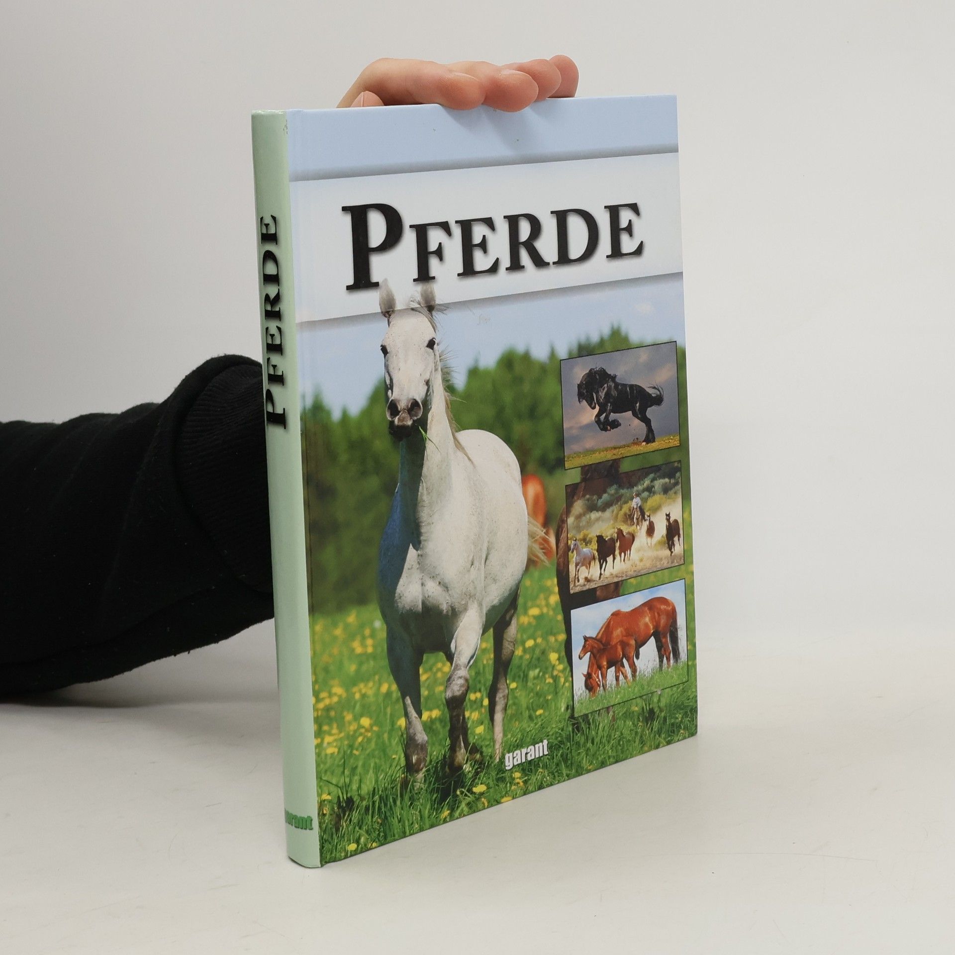 Collectif d'auteurs Pferde
