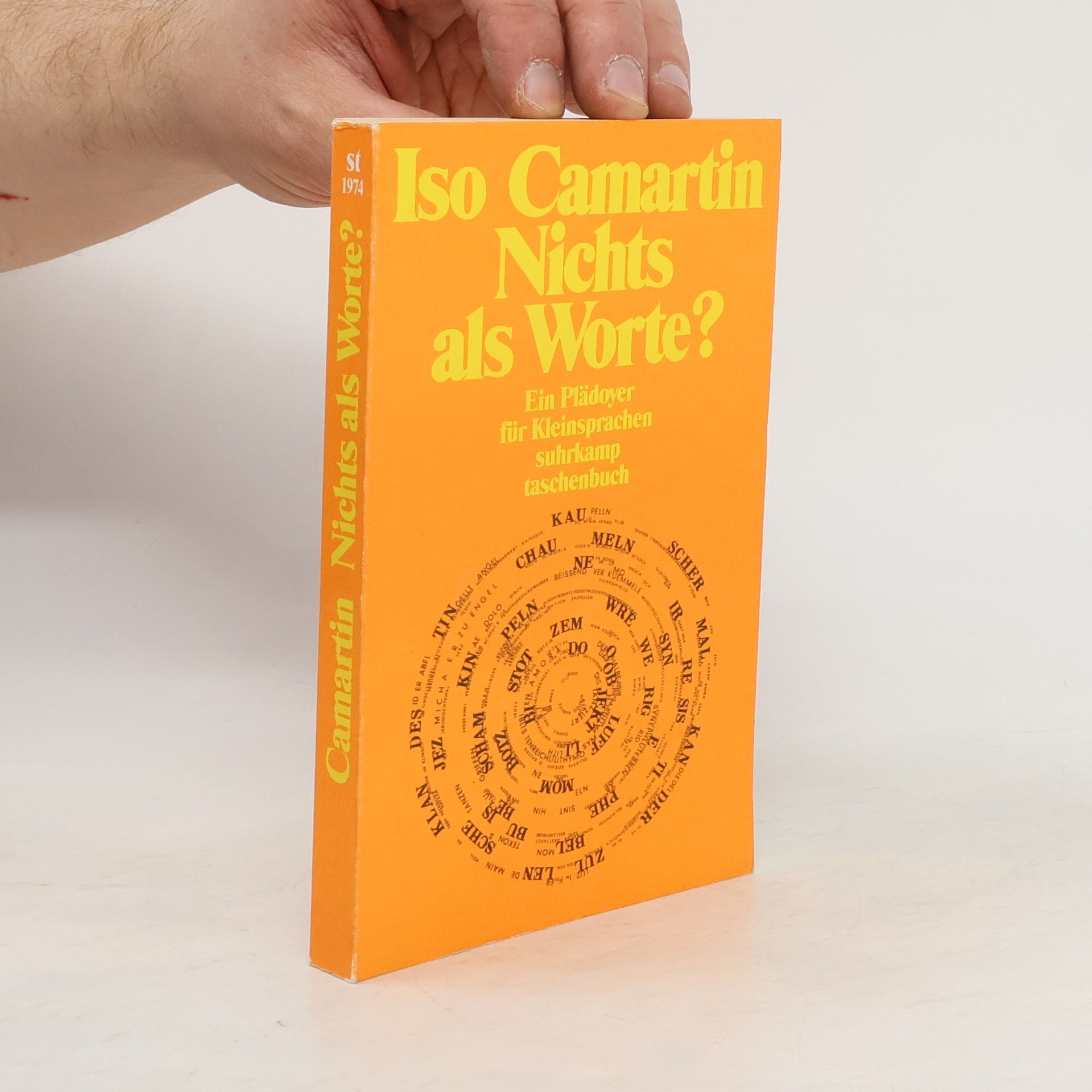 Iso Camartin Nichts als Worte?