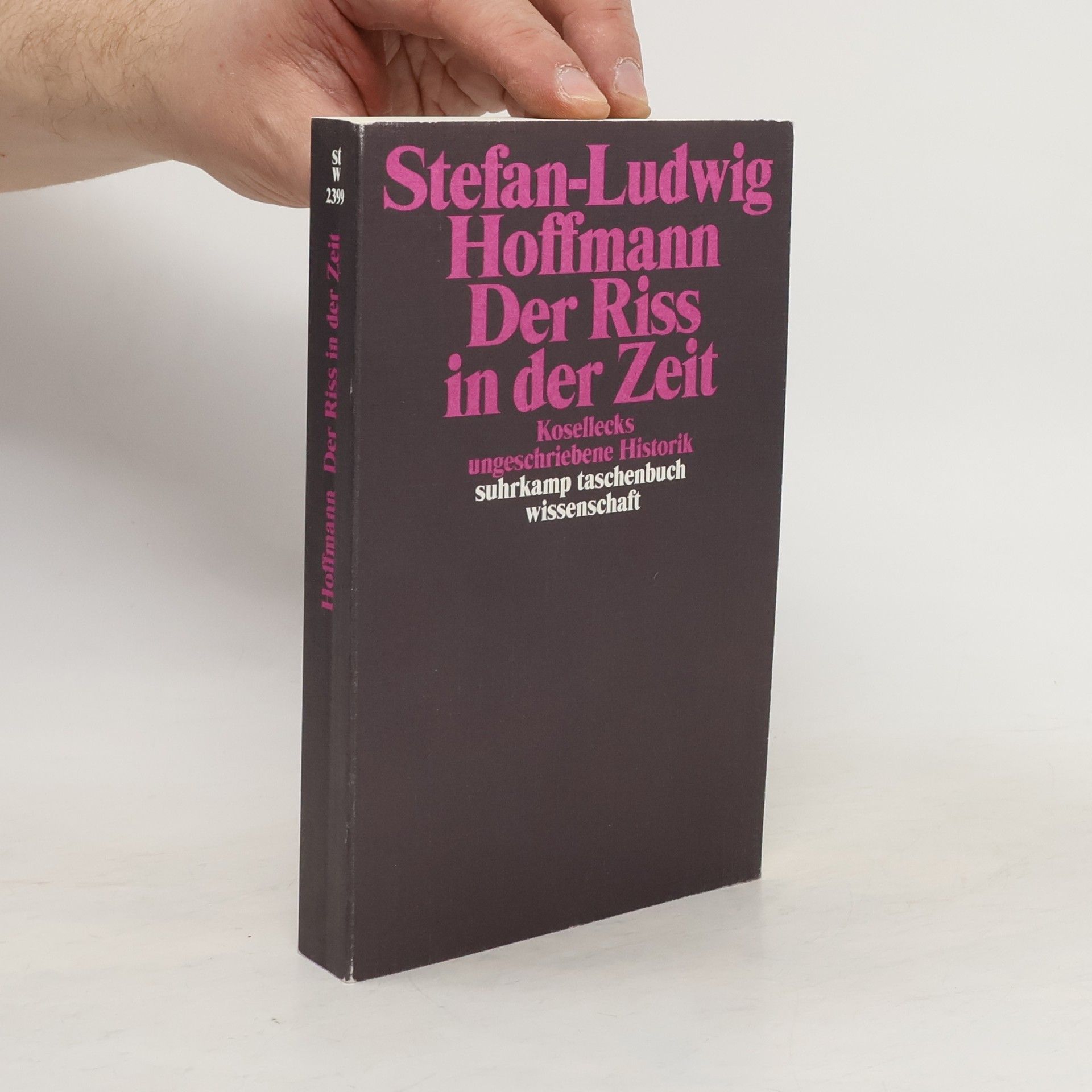 Stefan Ludwig Hoffmann Der Riss in der Zeit