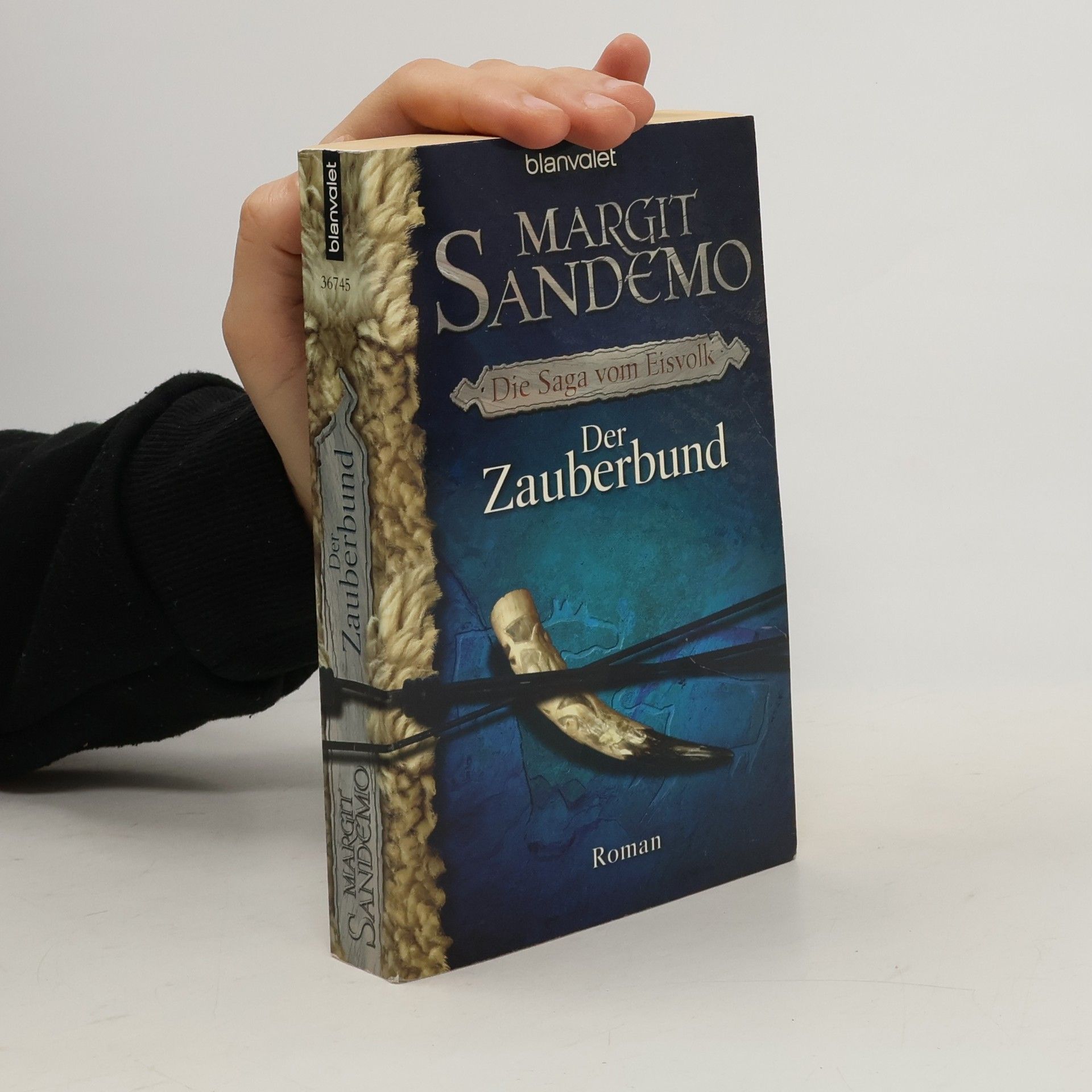 Margit Sandemo Die Saga vom Eisvolk. Der Zauberbund