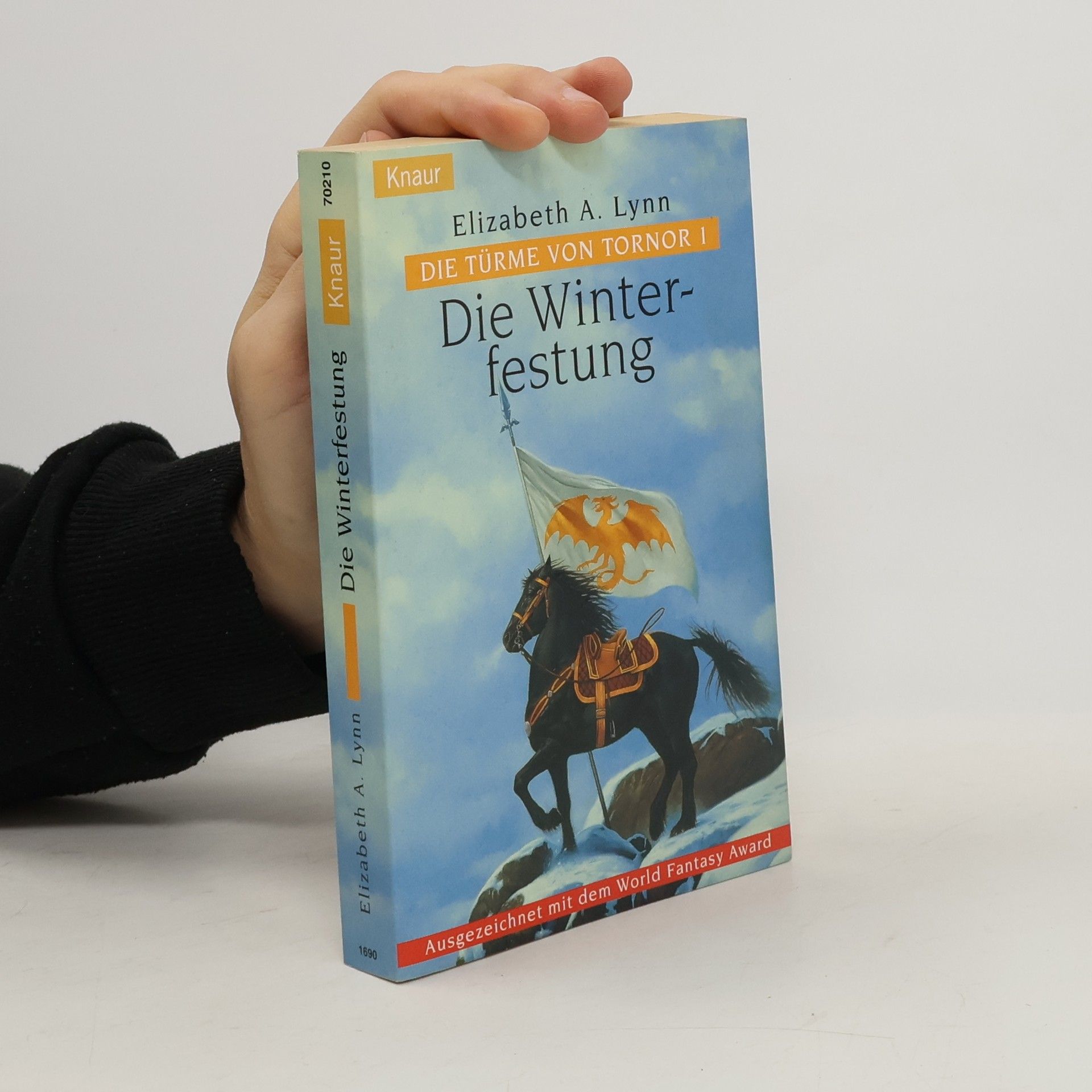 Elizabeth A. Lynn Die Türme von Tornor
