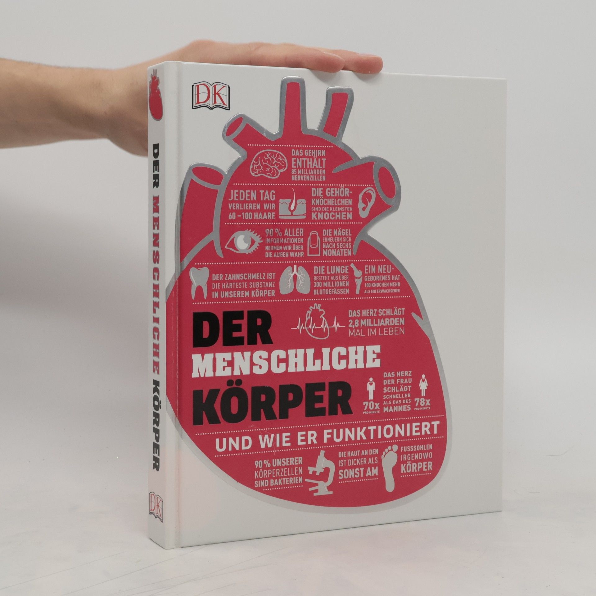 Collectif d'auteurs Der menschliche Körper