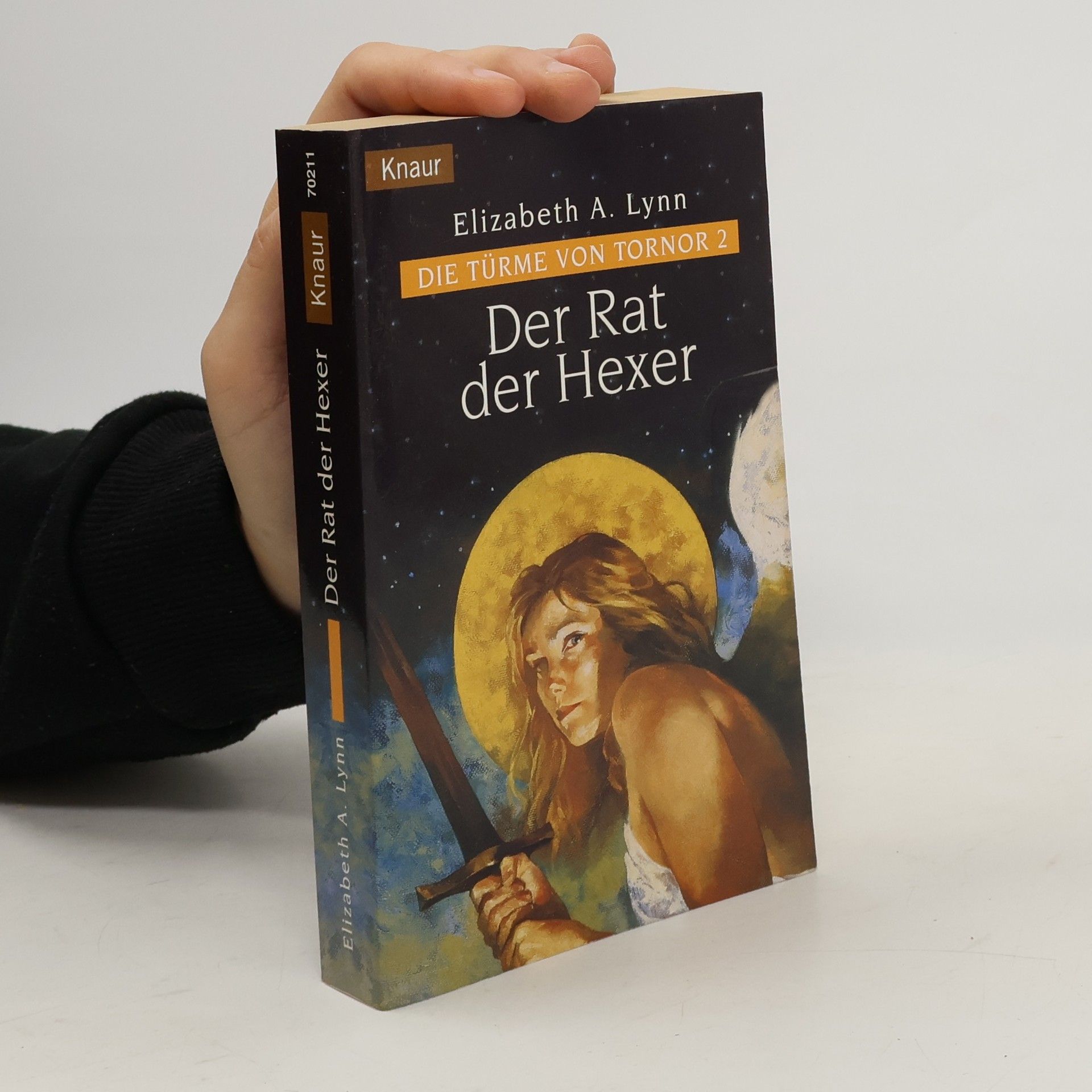 Elizabeth A. Lynn Der Rat der Hexer