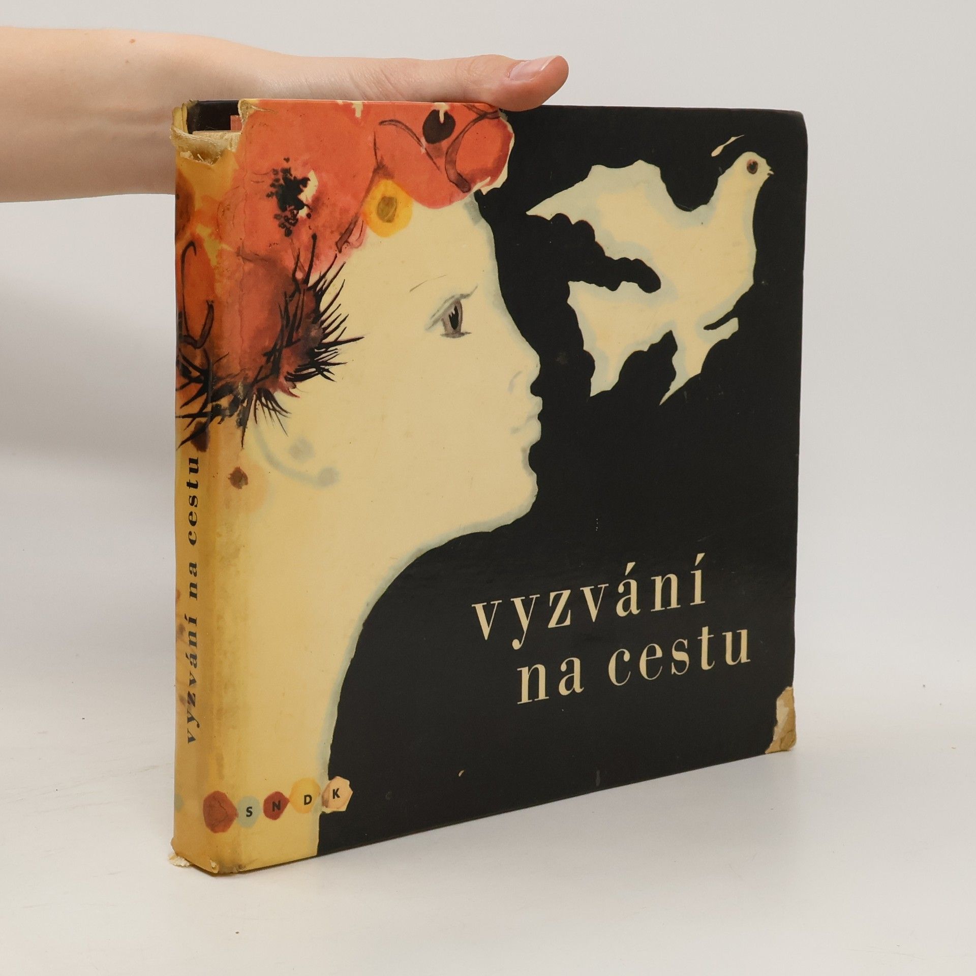 Dagmar Lhotová Vyzvání na cestu. Encyklopedie současné české poezie