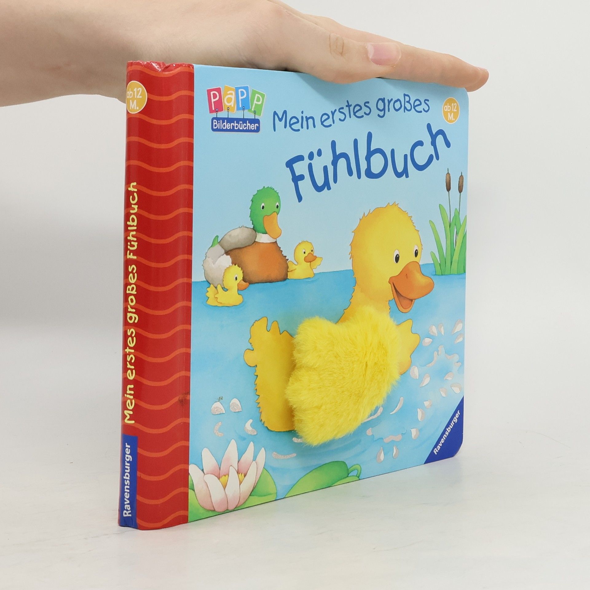 Monika Neubacher Fesser Mein erstes großes Fühlbuch