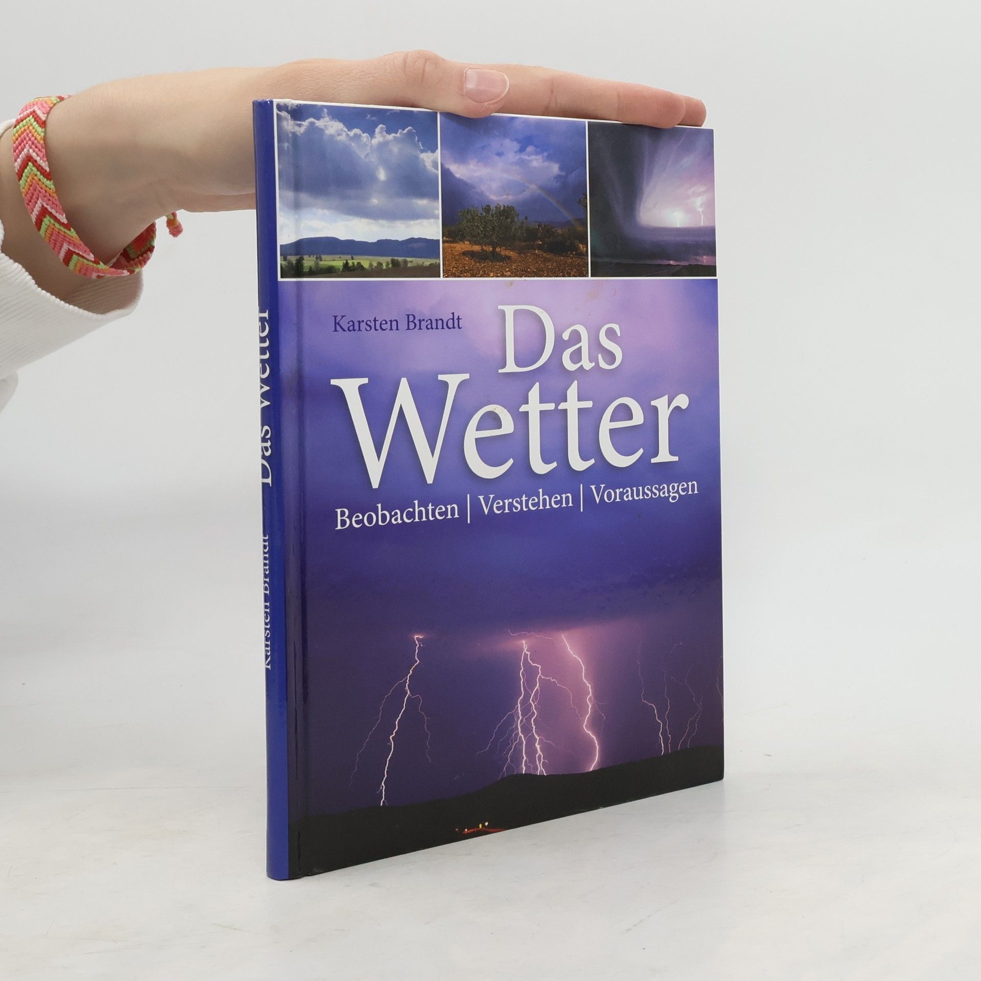 Karsten Brandt Das Wetter