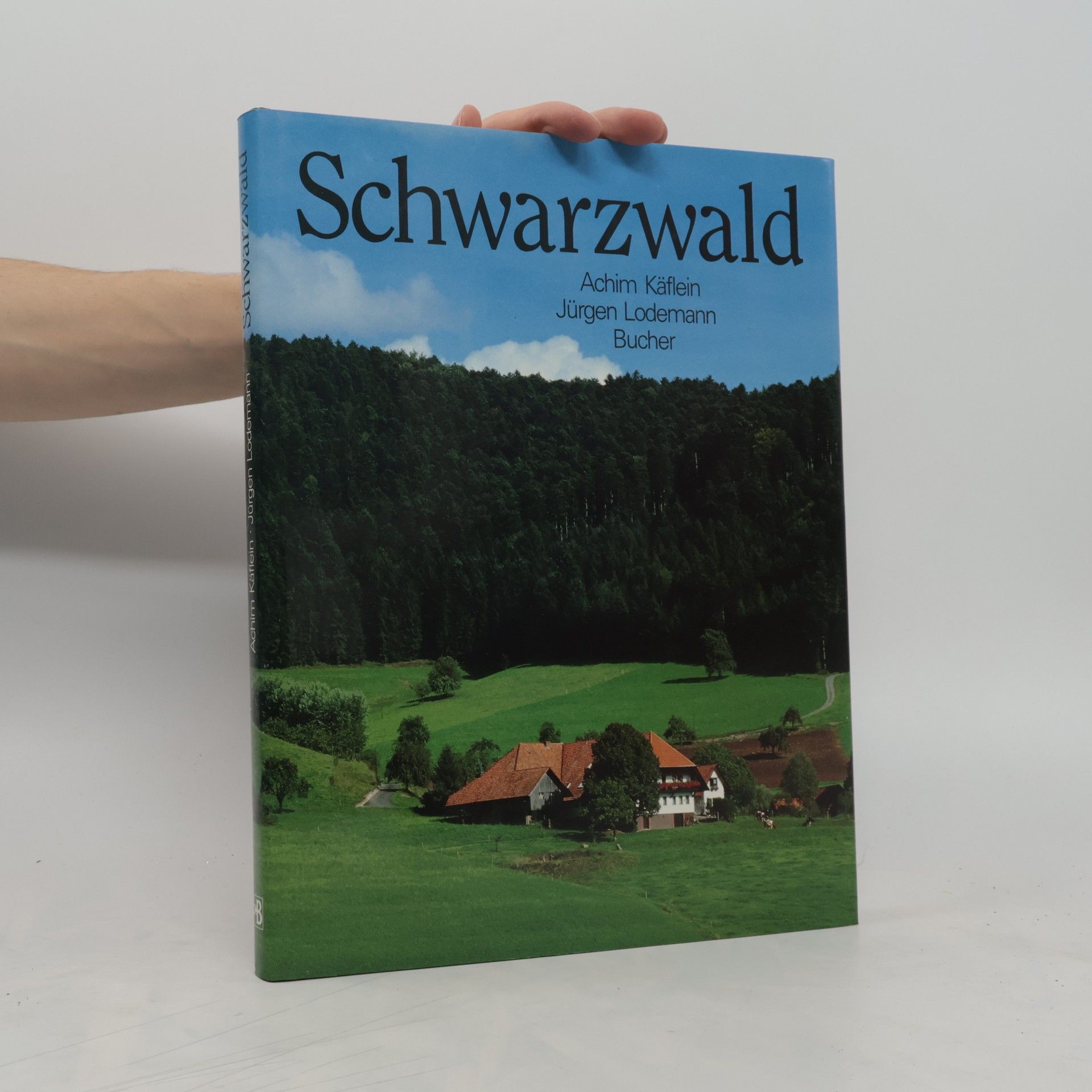 Achim Käflein Schwarzwald