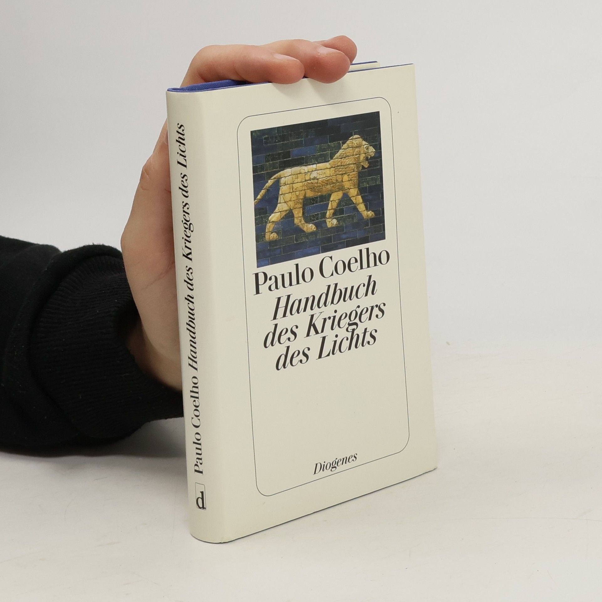 Paulo Coelho Handbuch des Kriegers des Lichts