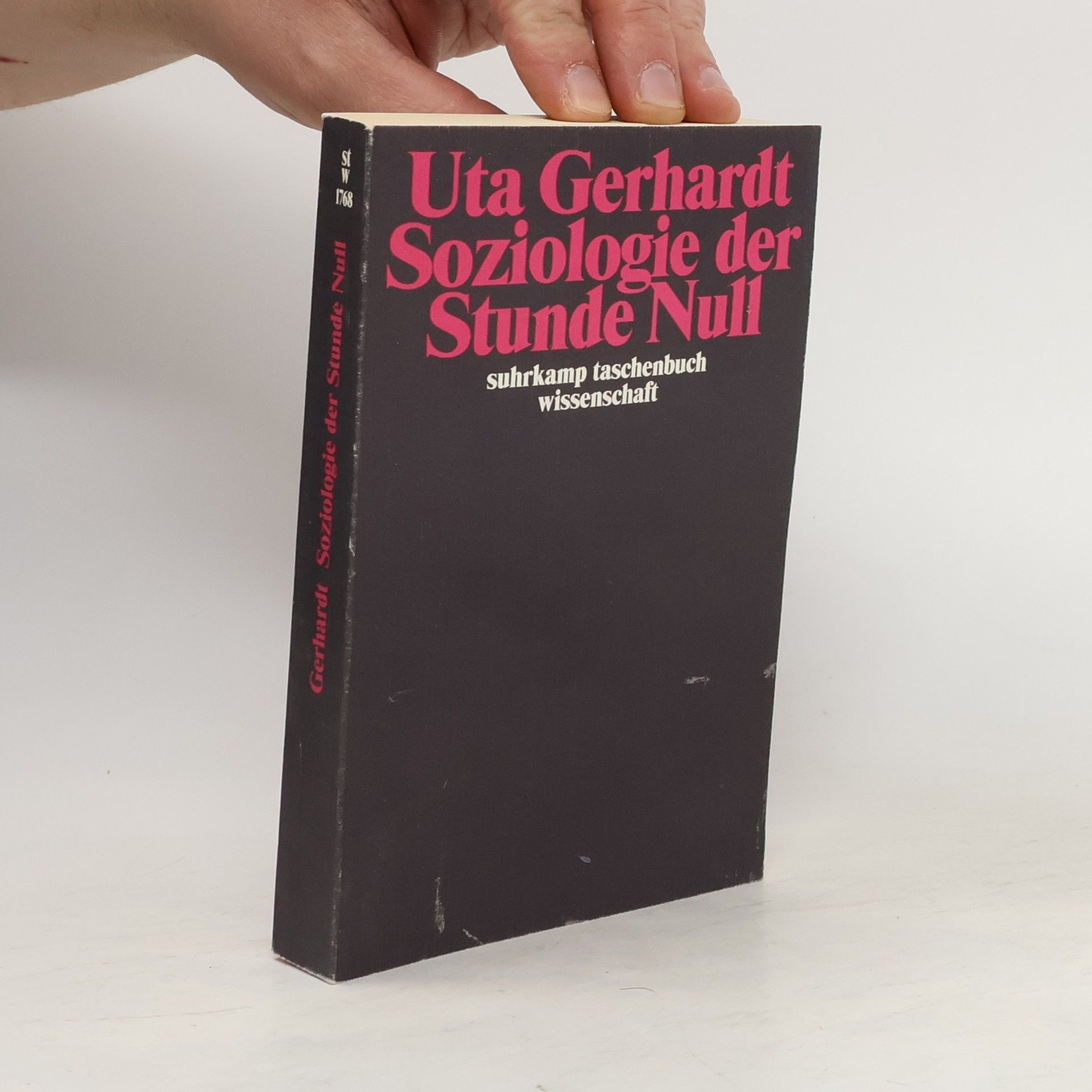 Uta Gerhardt Soziologie der Stunde Null