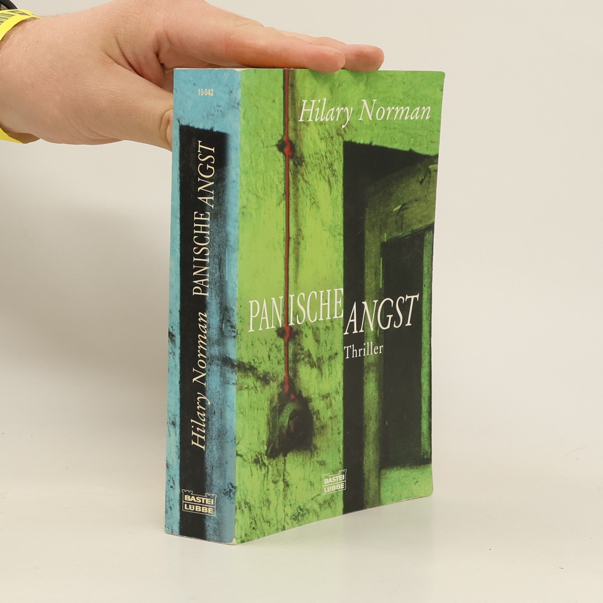 Hilary Norman Panische Angst