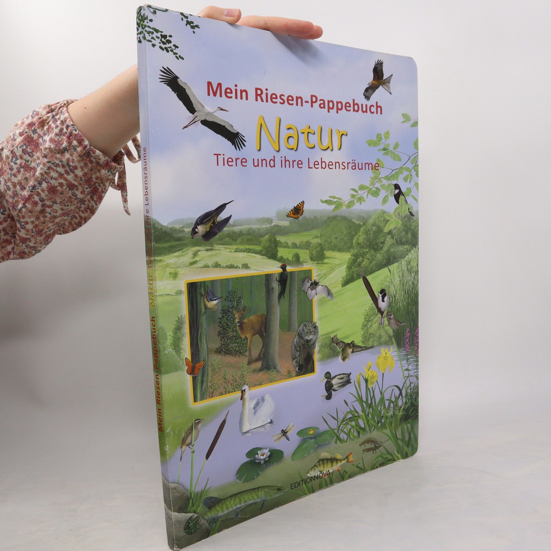 kolektiv Mein Riesen-Pappebuch Natur. Tiere und ihre Lebensräume