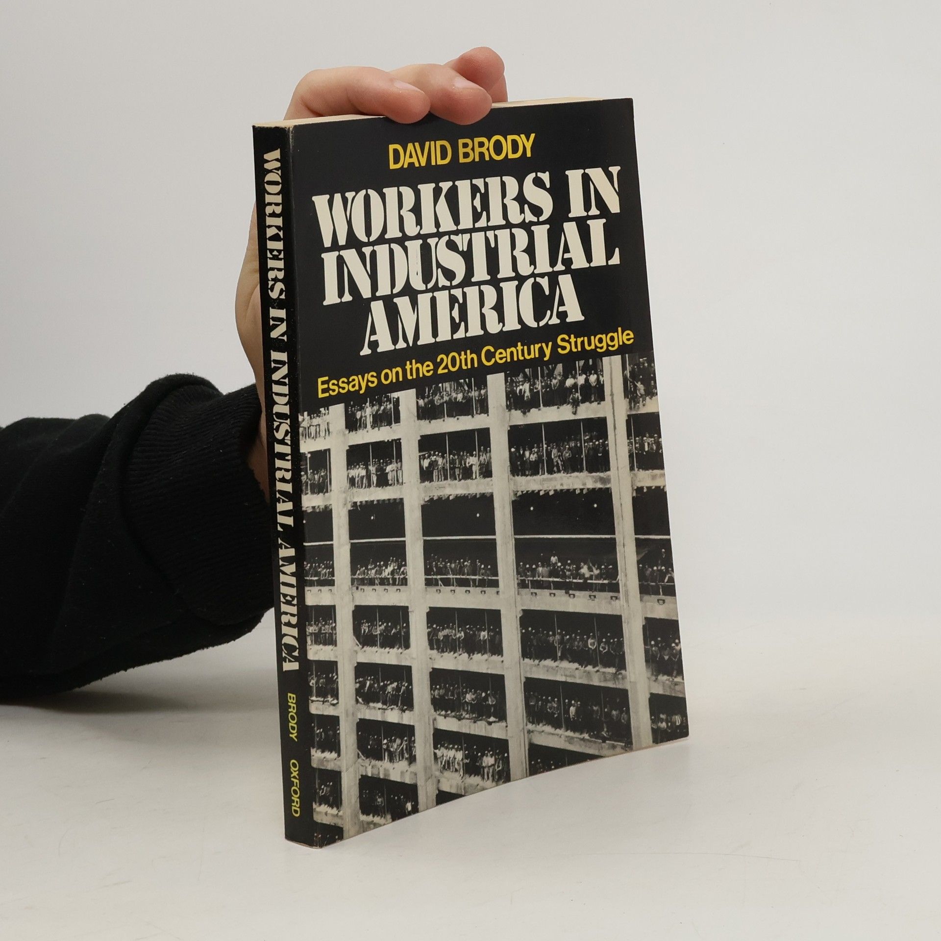 David Brody Workers in Industrial America