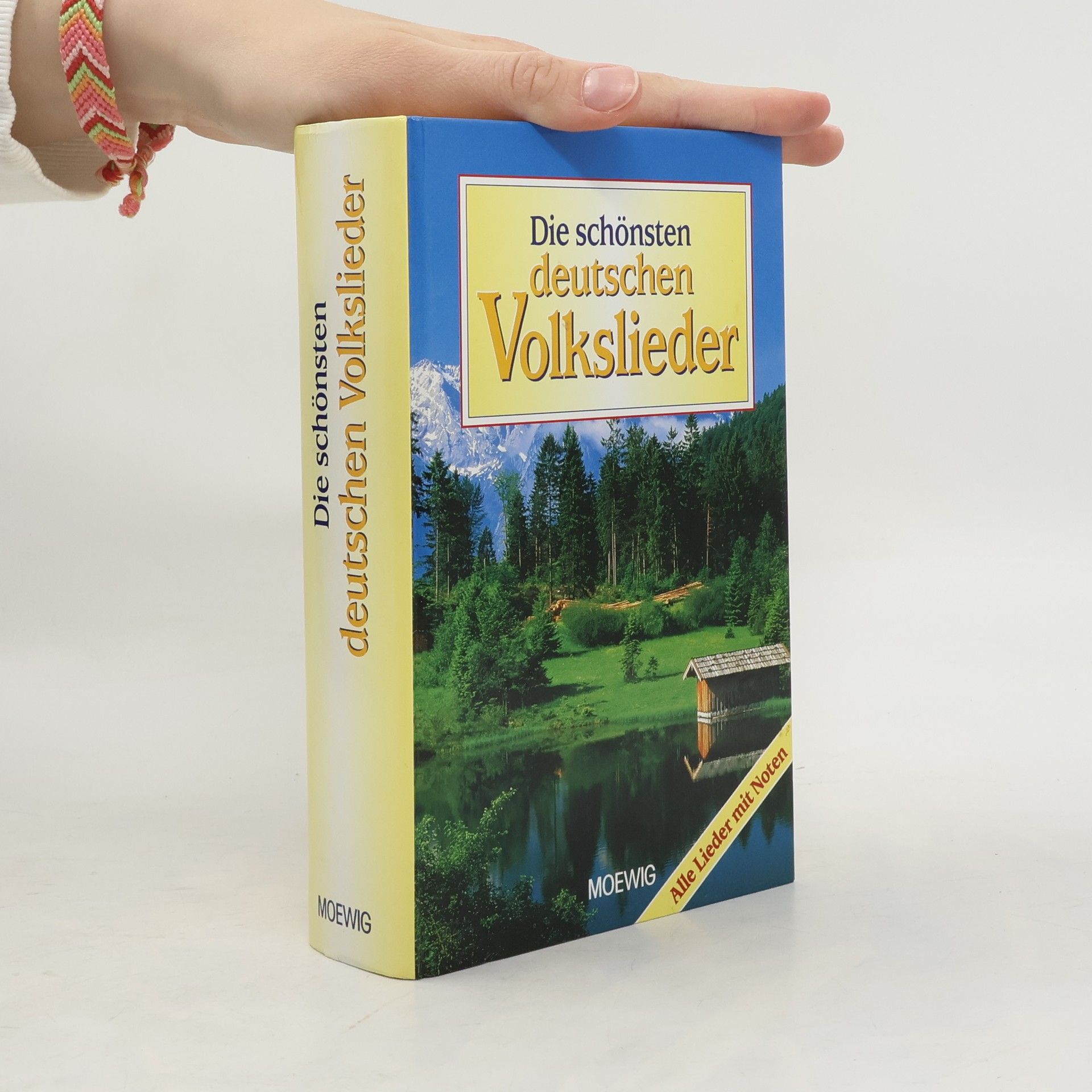 Stefan Vieregg Die schönsten deutschen Volkslieder