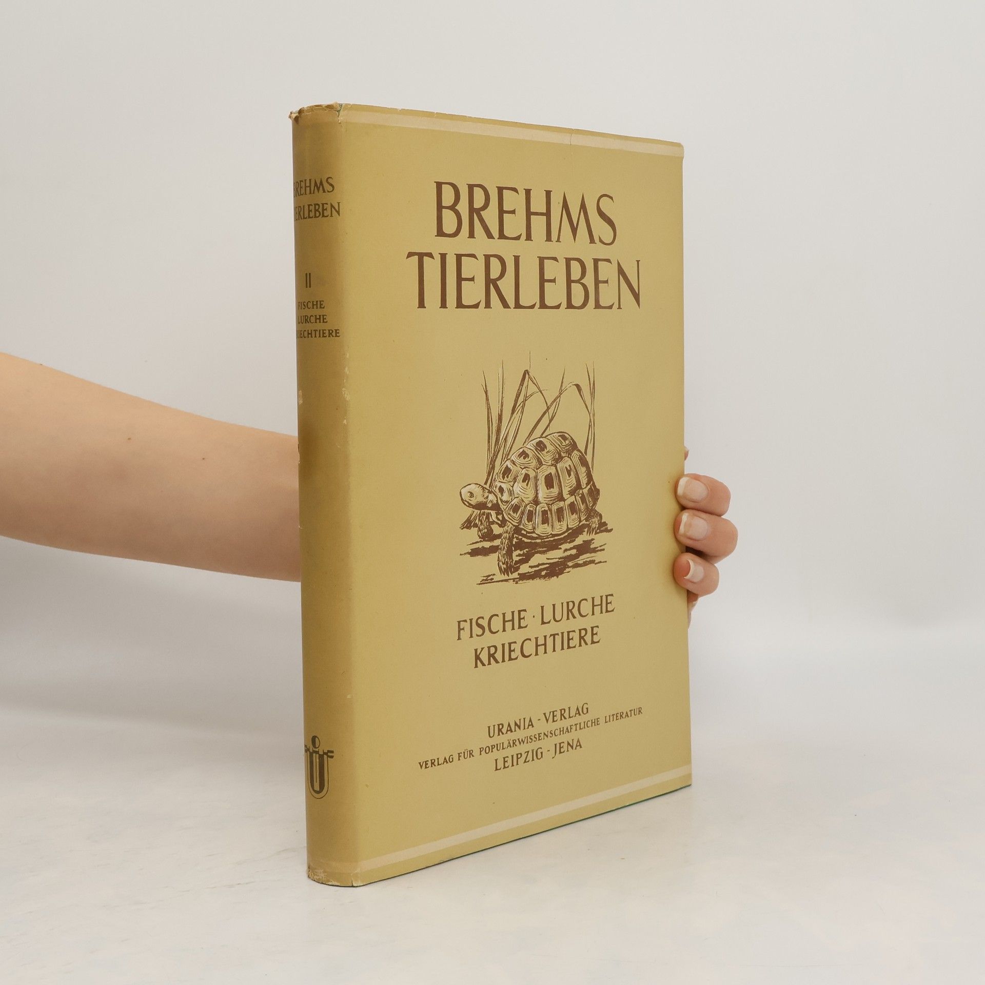 Walter Rammer Brehms Tierleben 2