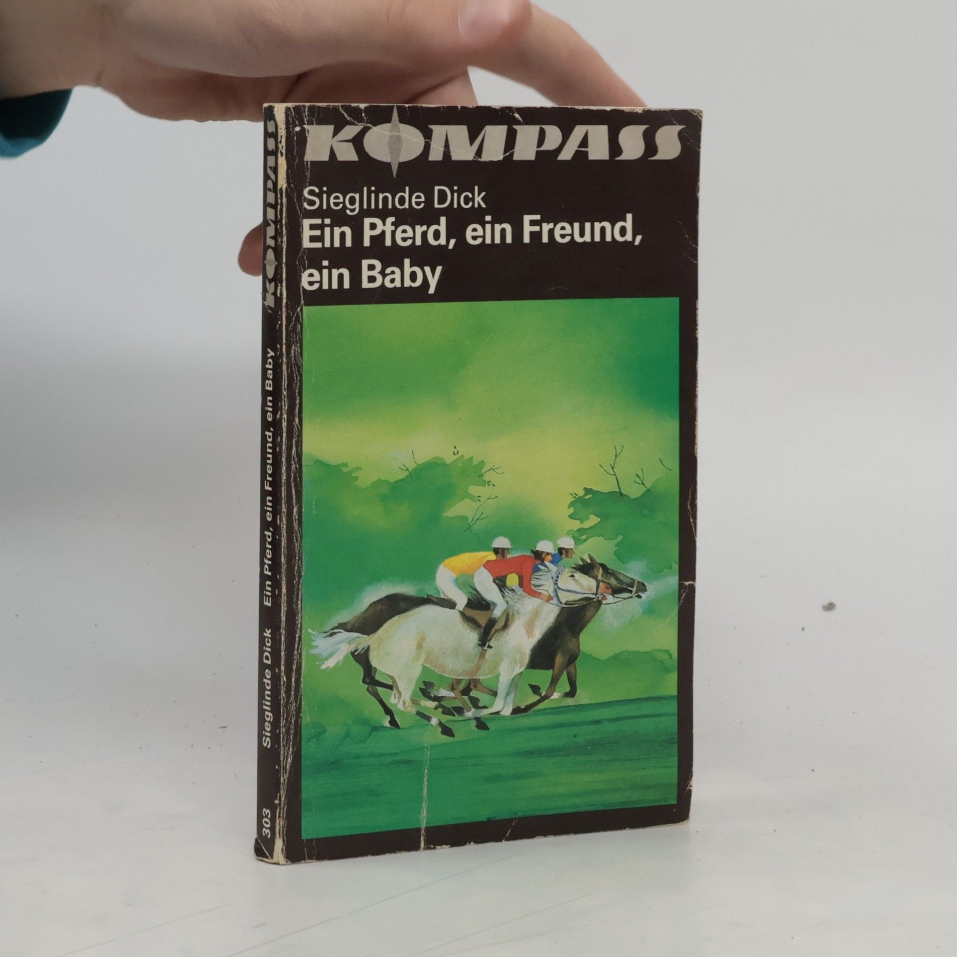 Sieglinde Dick Ein Pferd, ein Freund, ein Baby