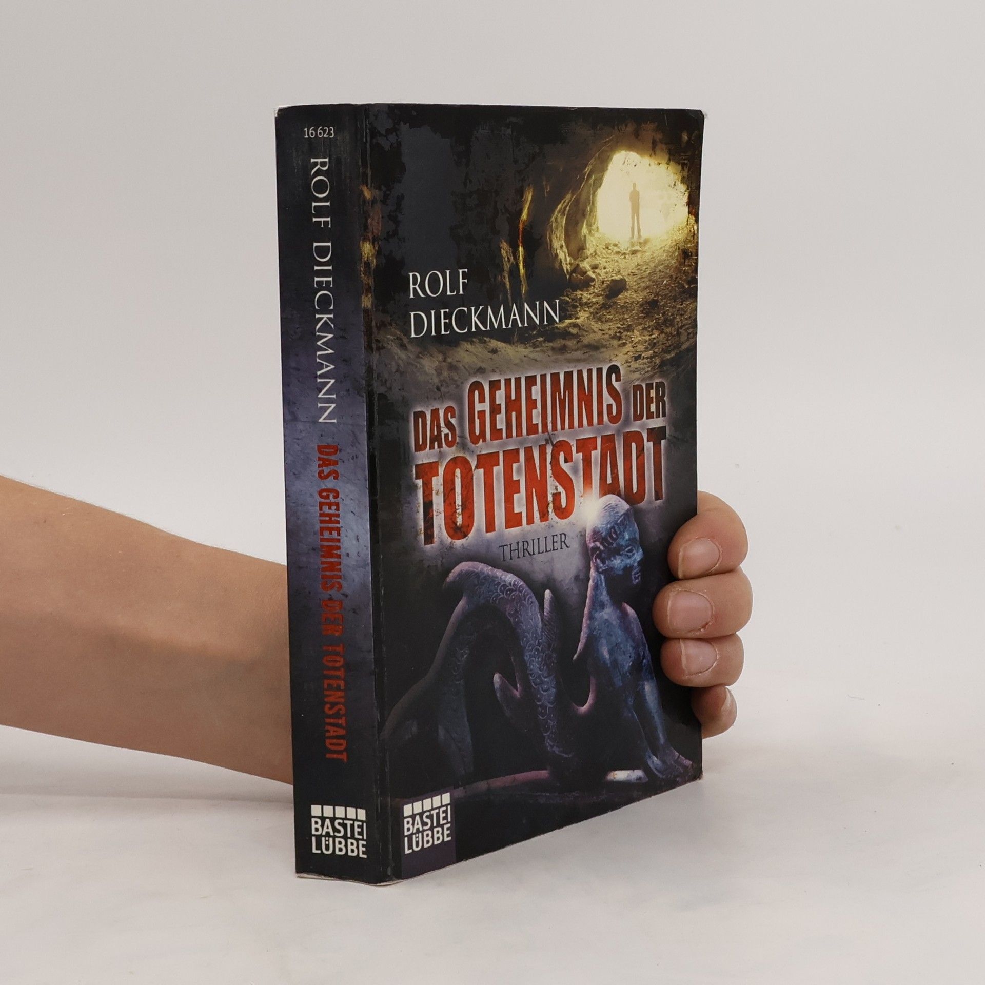 Rolf Dieckmann Das Geheimnis der Totenstadt. Thriller