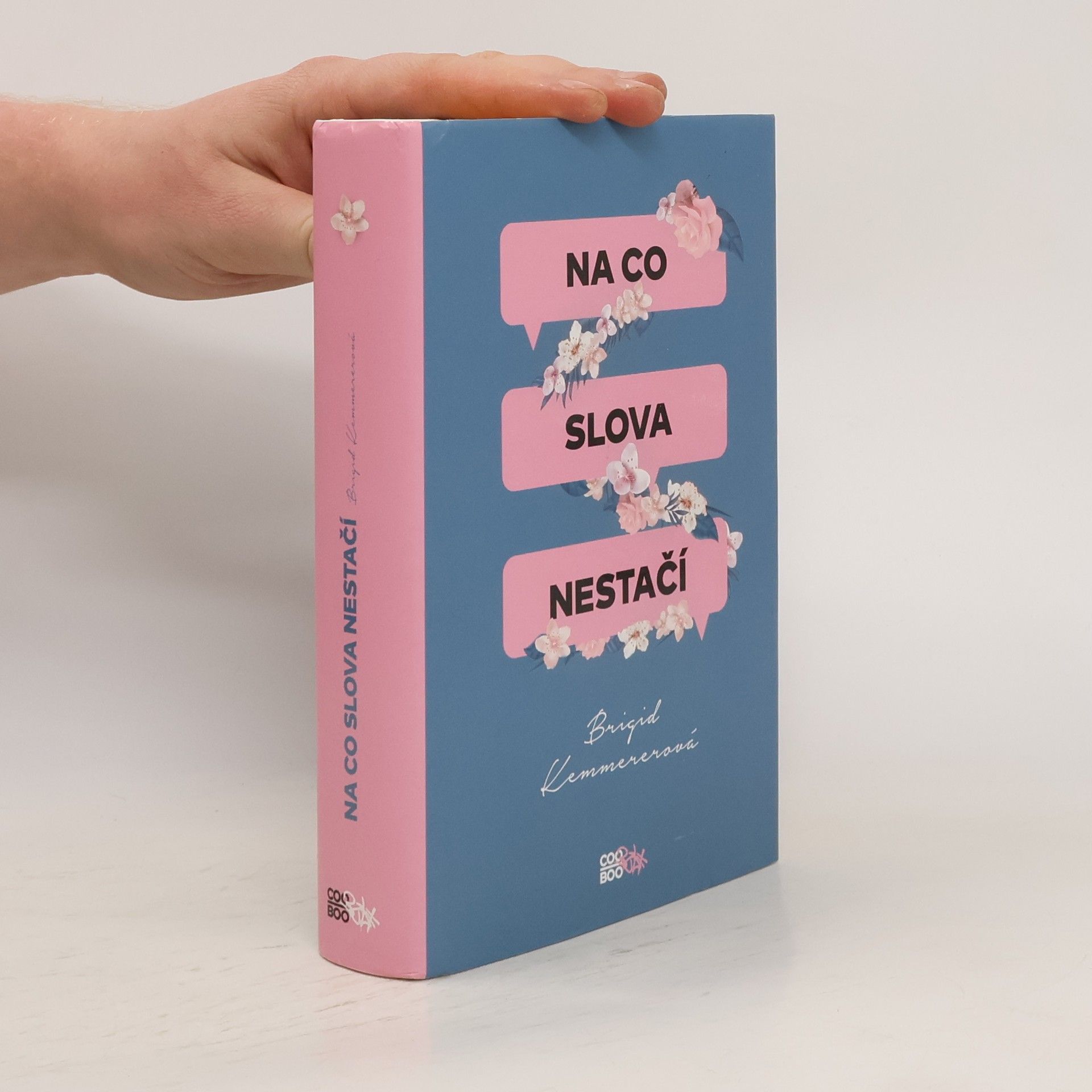 Brigid Kemmerer Na co slova nestačí