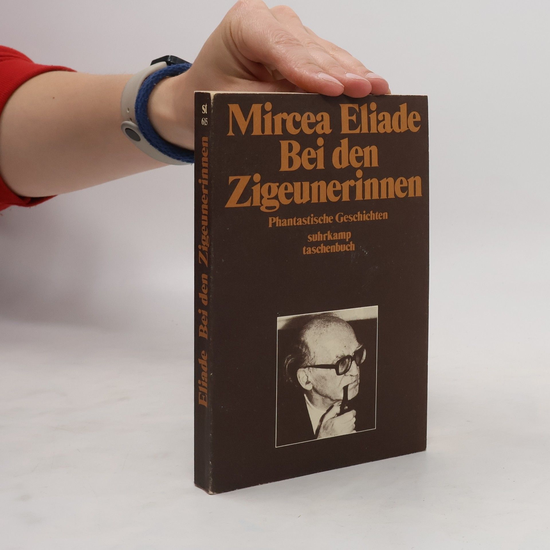 Mircea Eliade Bei den Zigeunerinnen