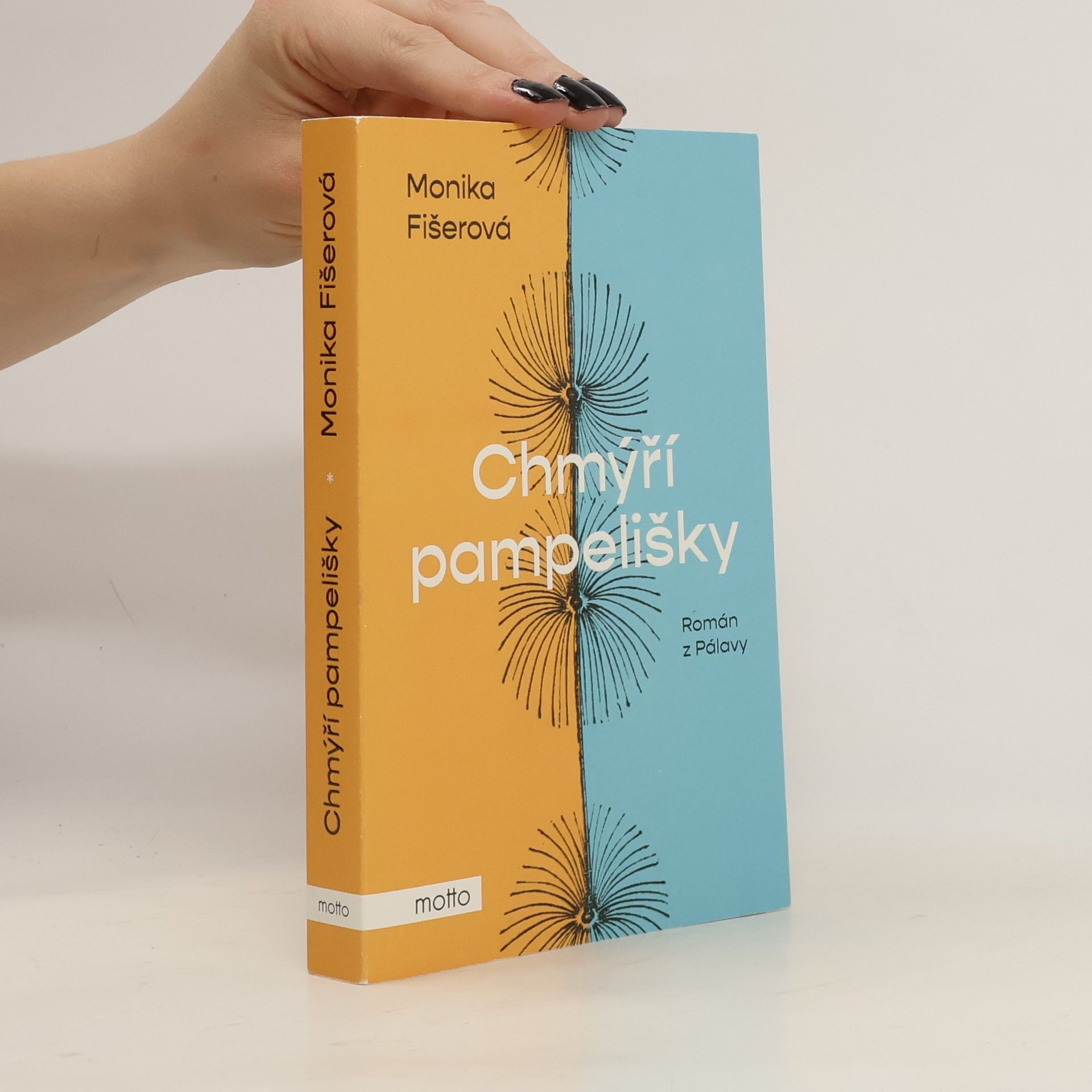 Monika Fišerová Chmýří pampelišky