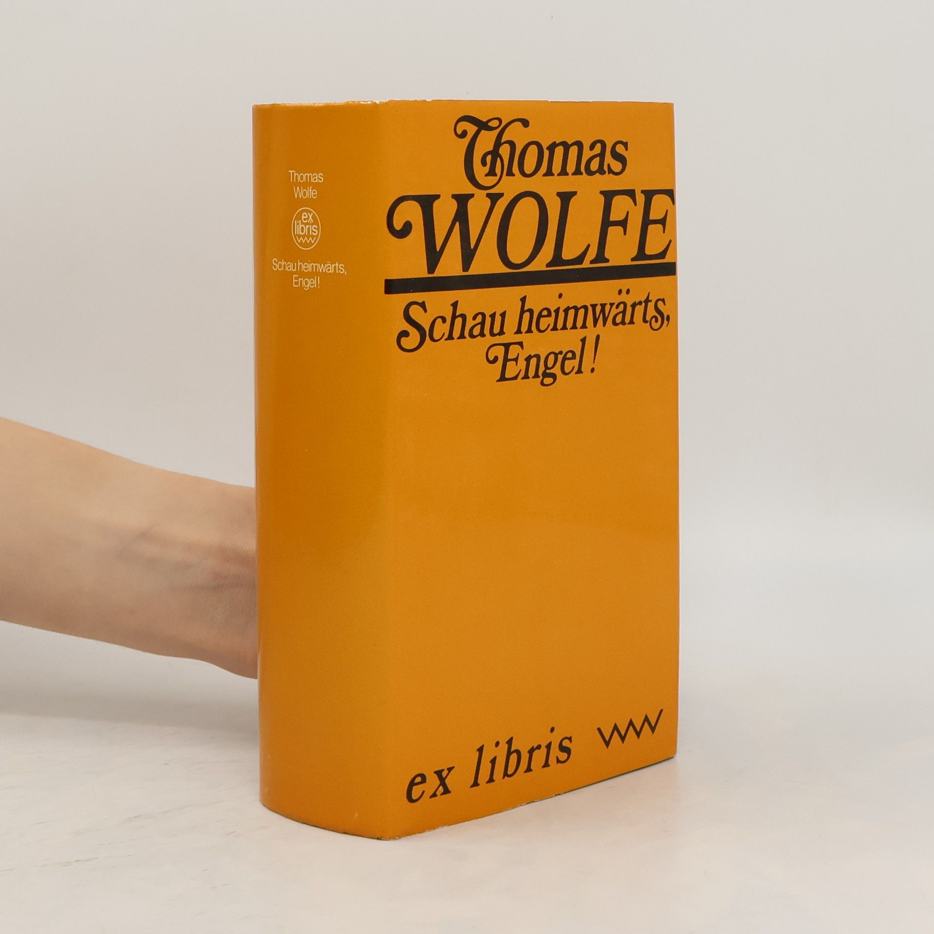 Thomas Clayton Wolfe Schau heimwärts, Engel!