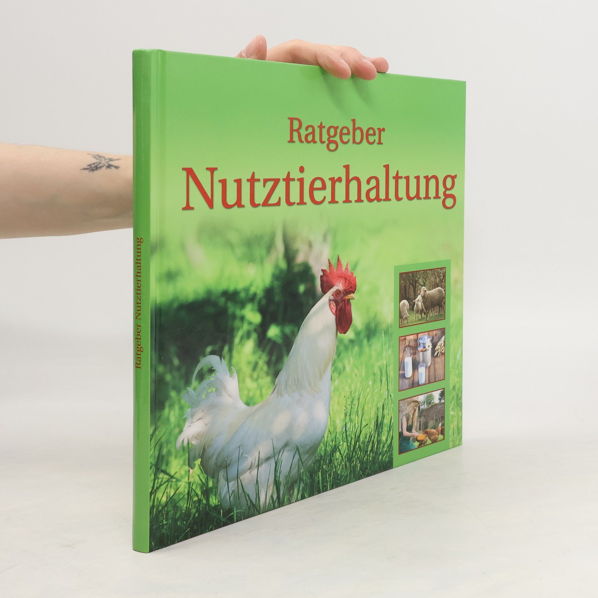 Collectif d'auteurs Ratgeber Nutztierhaltung