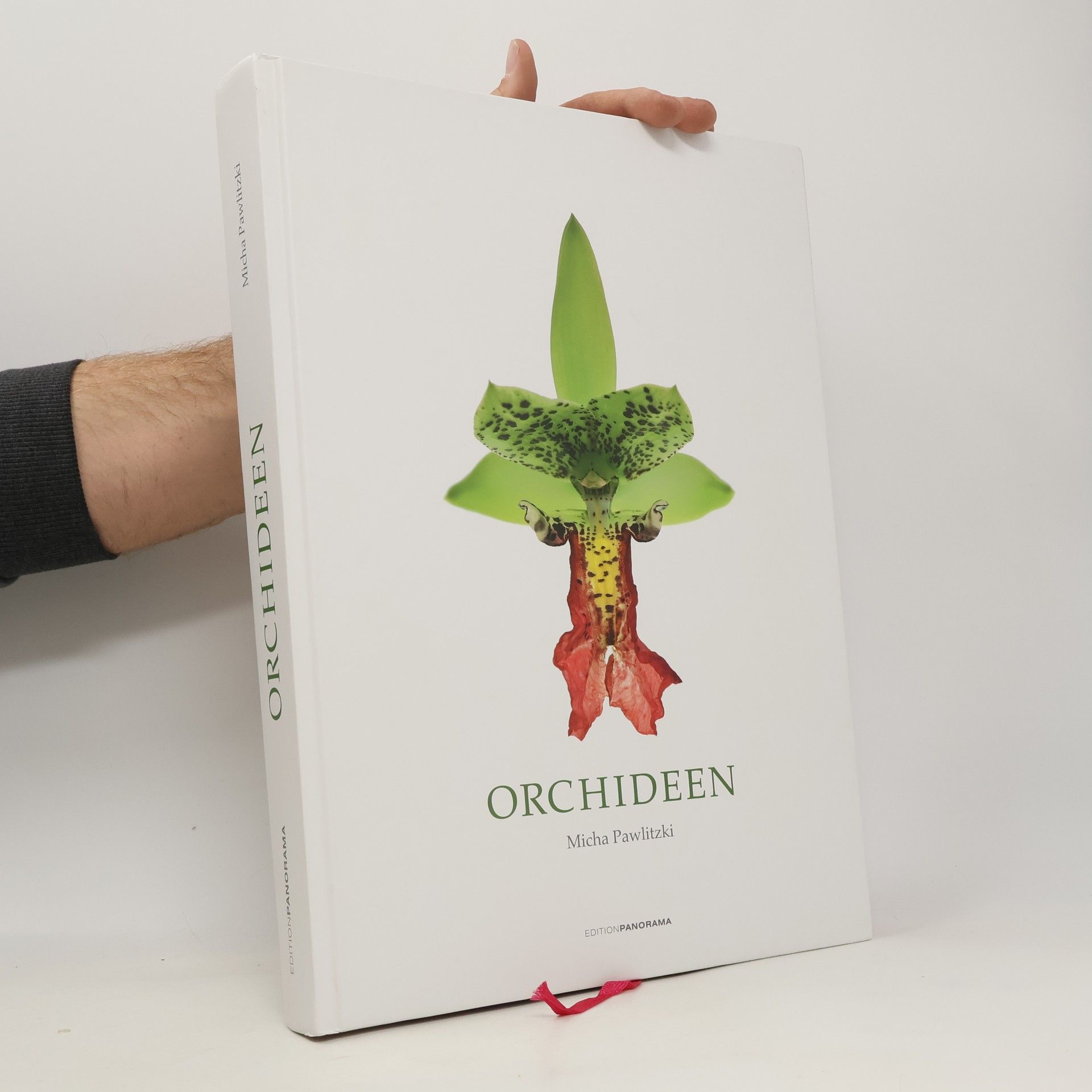 Micha Pawlitzki Orchideen