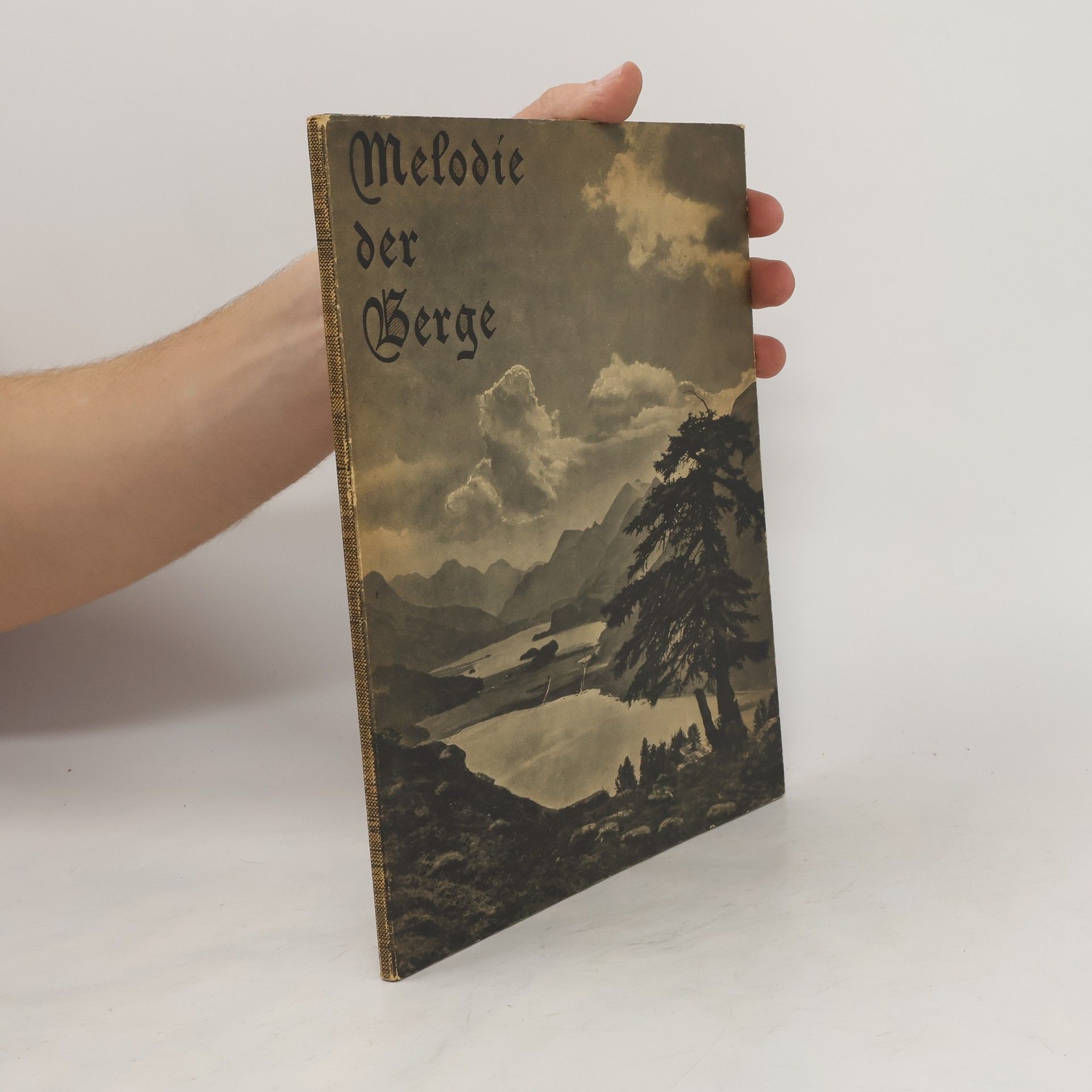 Collective Melodie der Berge