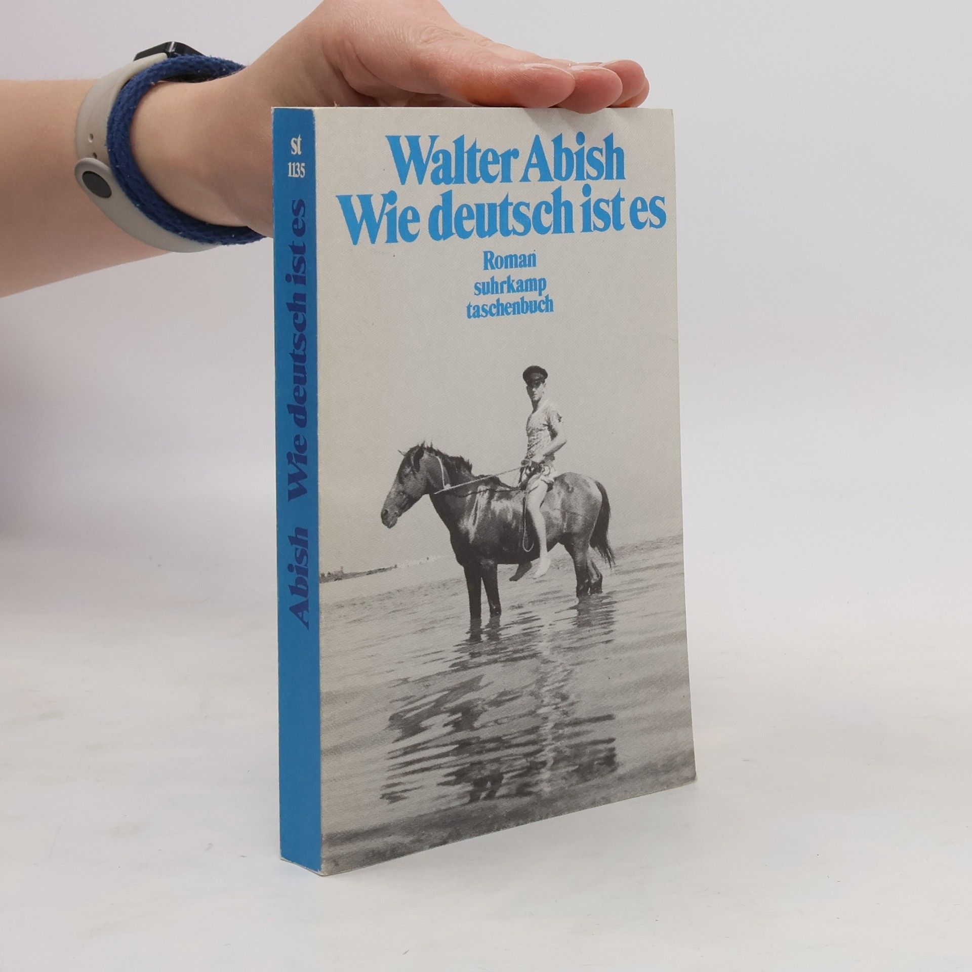 Walter Abish Wie deutsch ist es