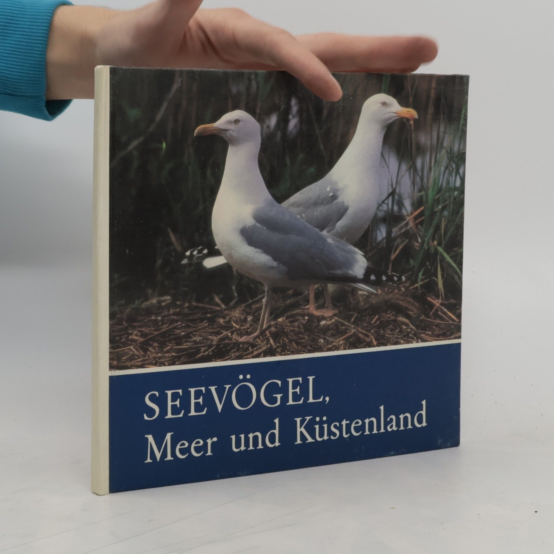 Claus Schonert Seevögel, Meer und Küstenland. Für junge Natur- und Tierfreunde fotografiert und aufgeschrieben