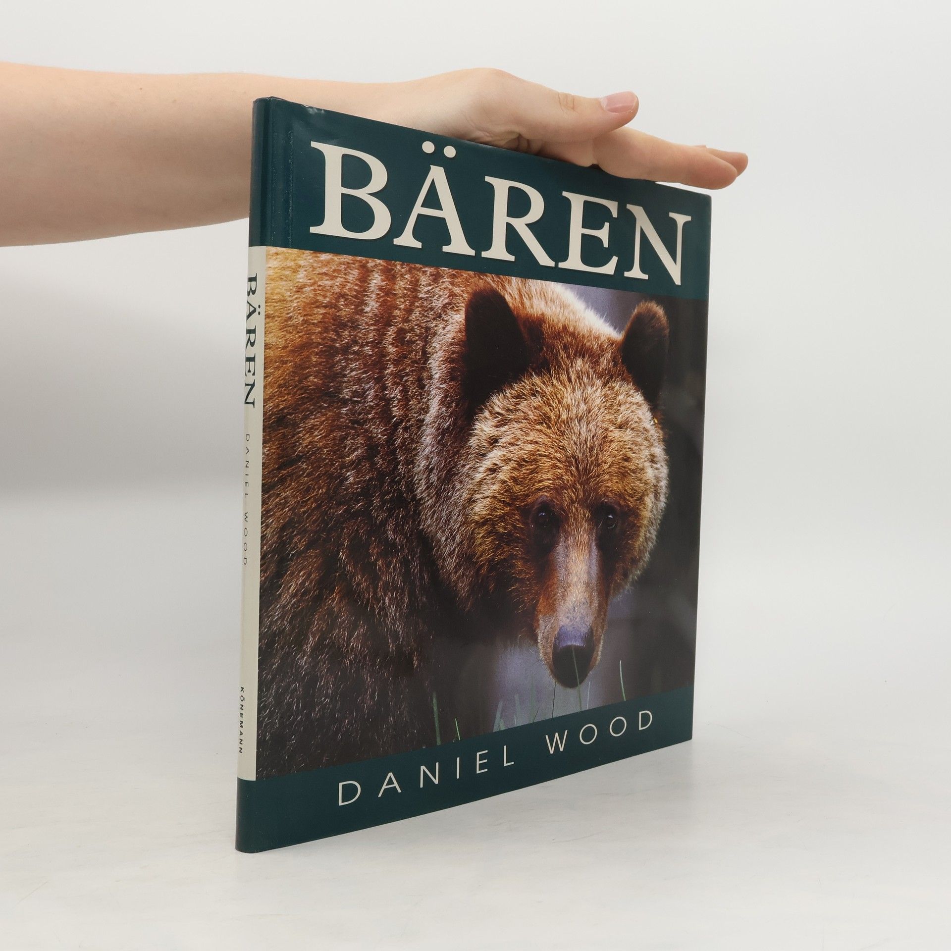 Daniel Wood Bären