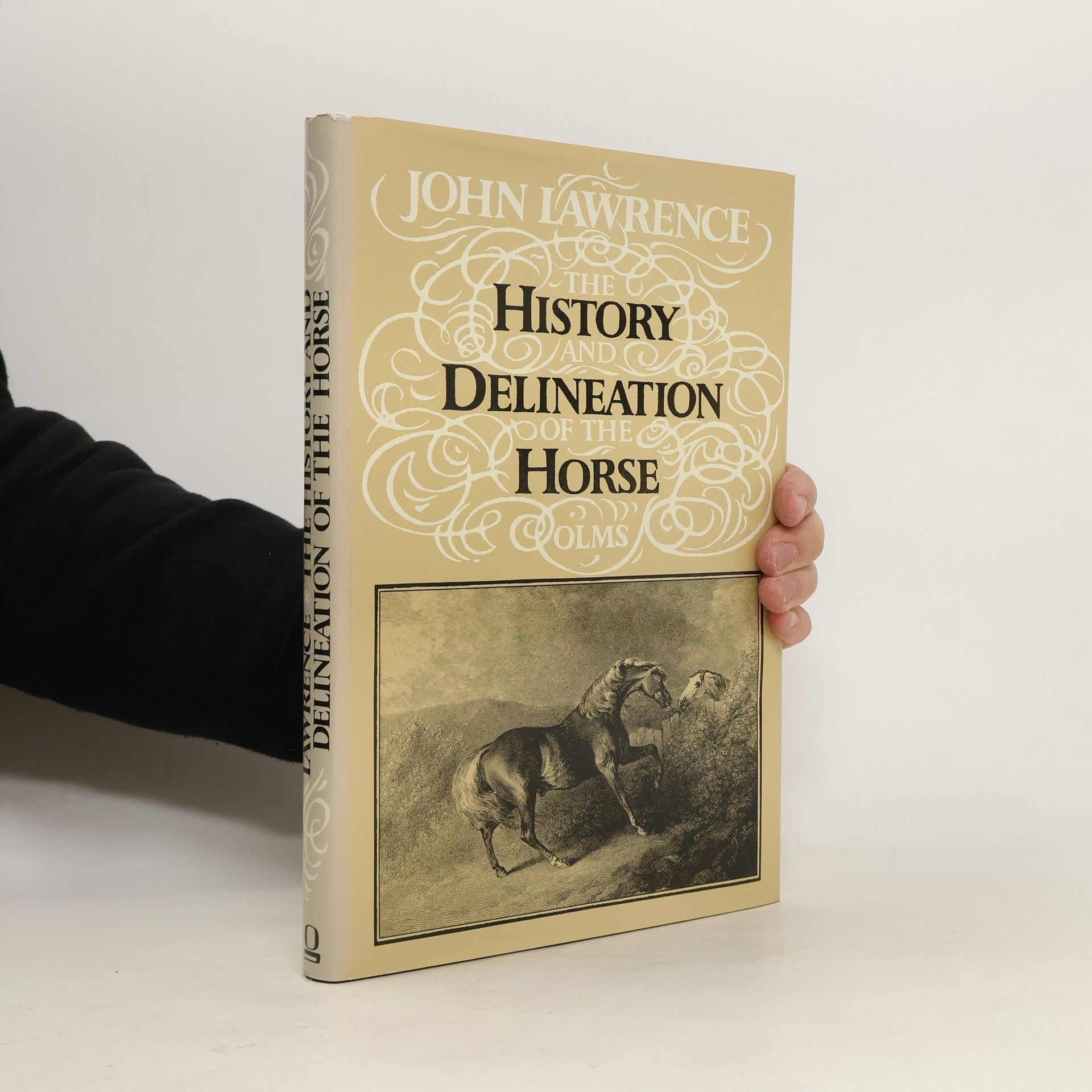 John Lawrence History Delineation Horse