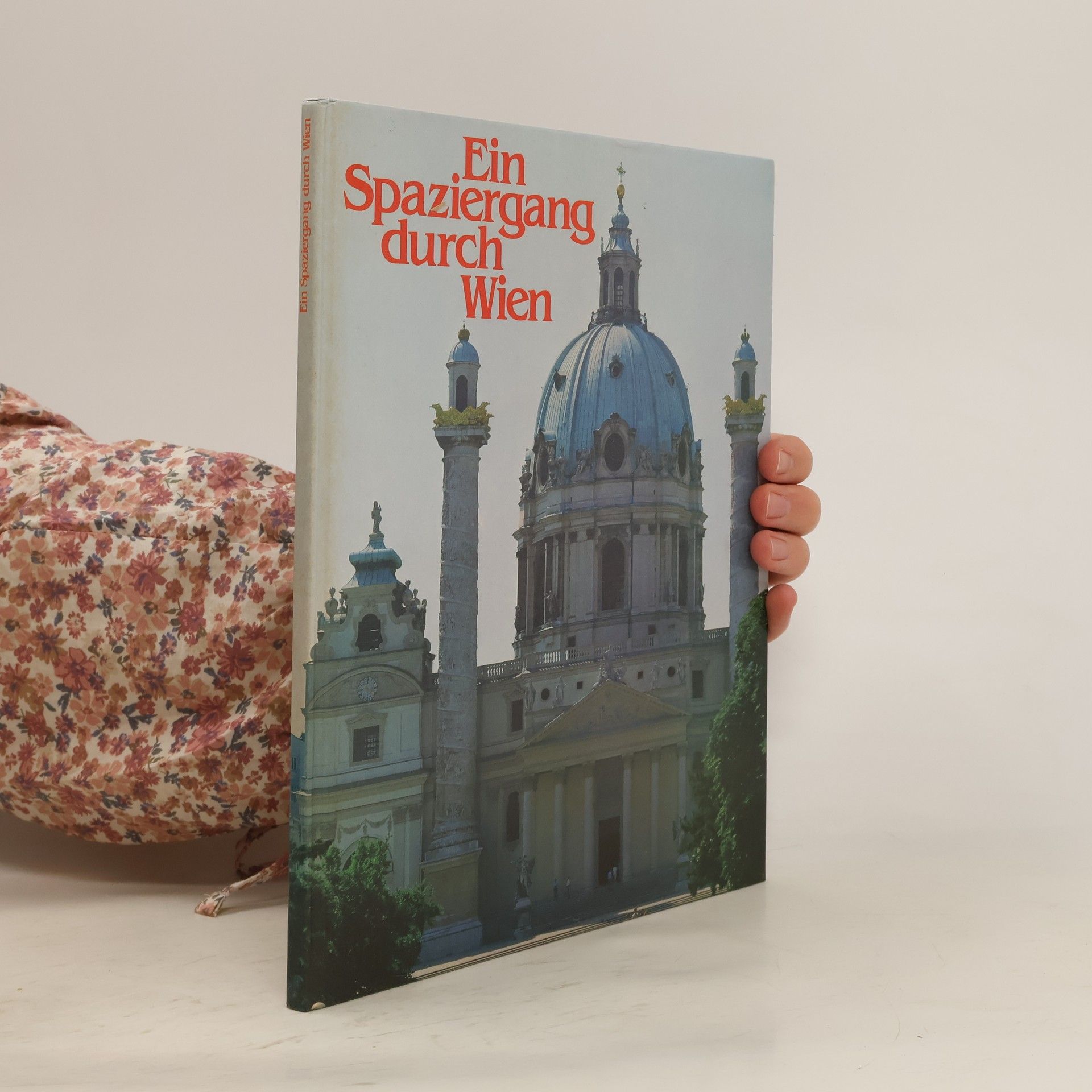Irene Kunze Ein Spaziergang durch Wien