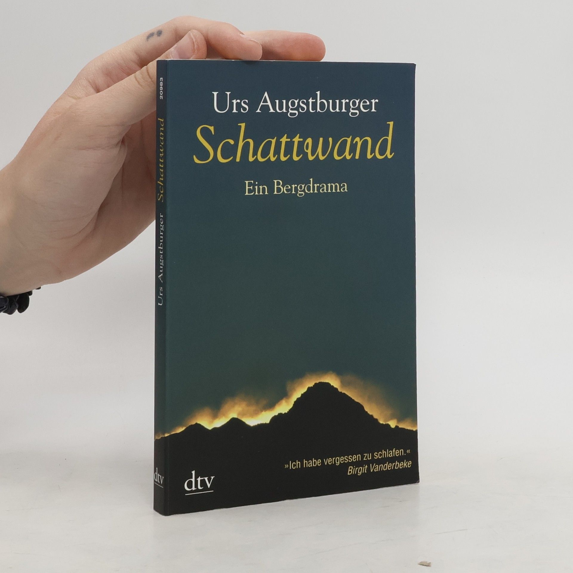 Urs Augstburger Schattwand