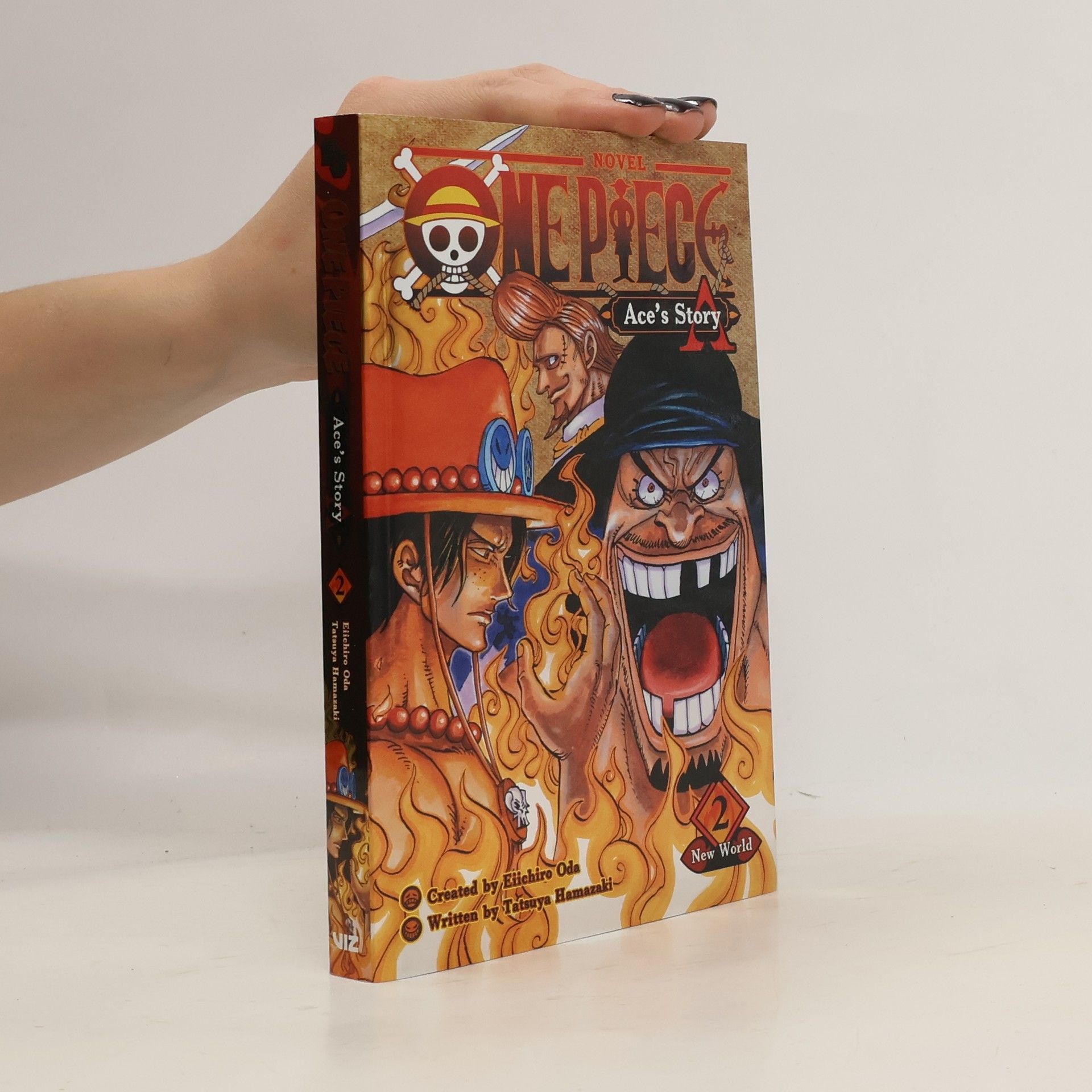 Tatsuya Hamazaki One Piece: Ace's Story, Vol. 2