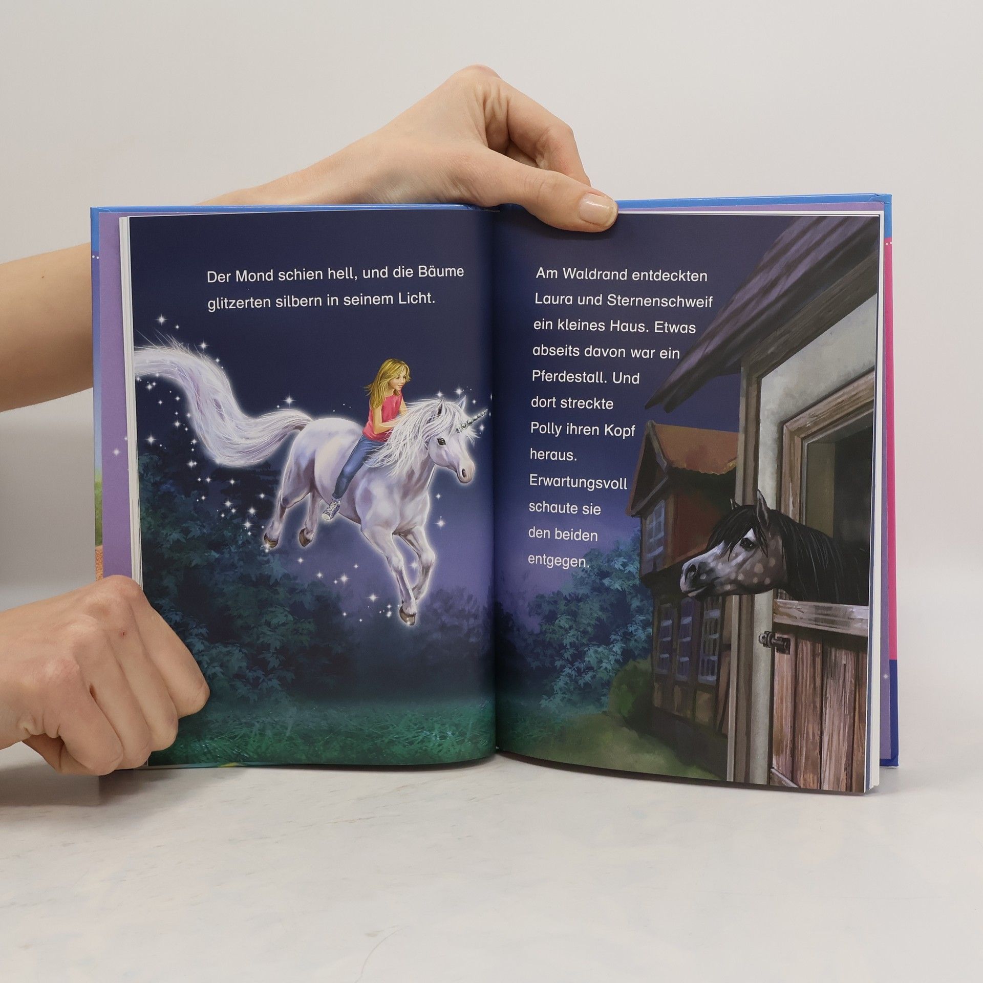 Linda Champan Sternenschweif. Bücherhelden 2. Klasse. Ein Einhorn in der Schule
