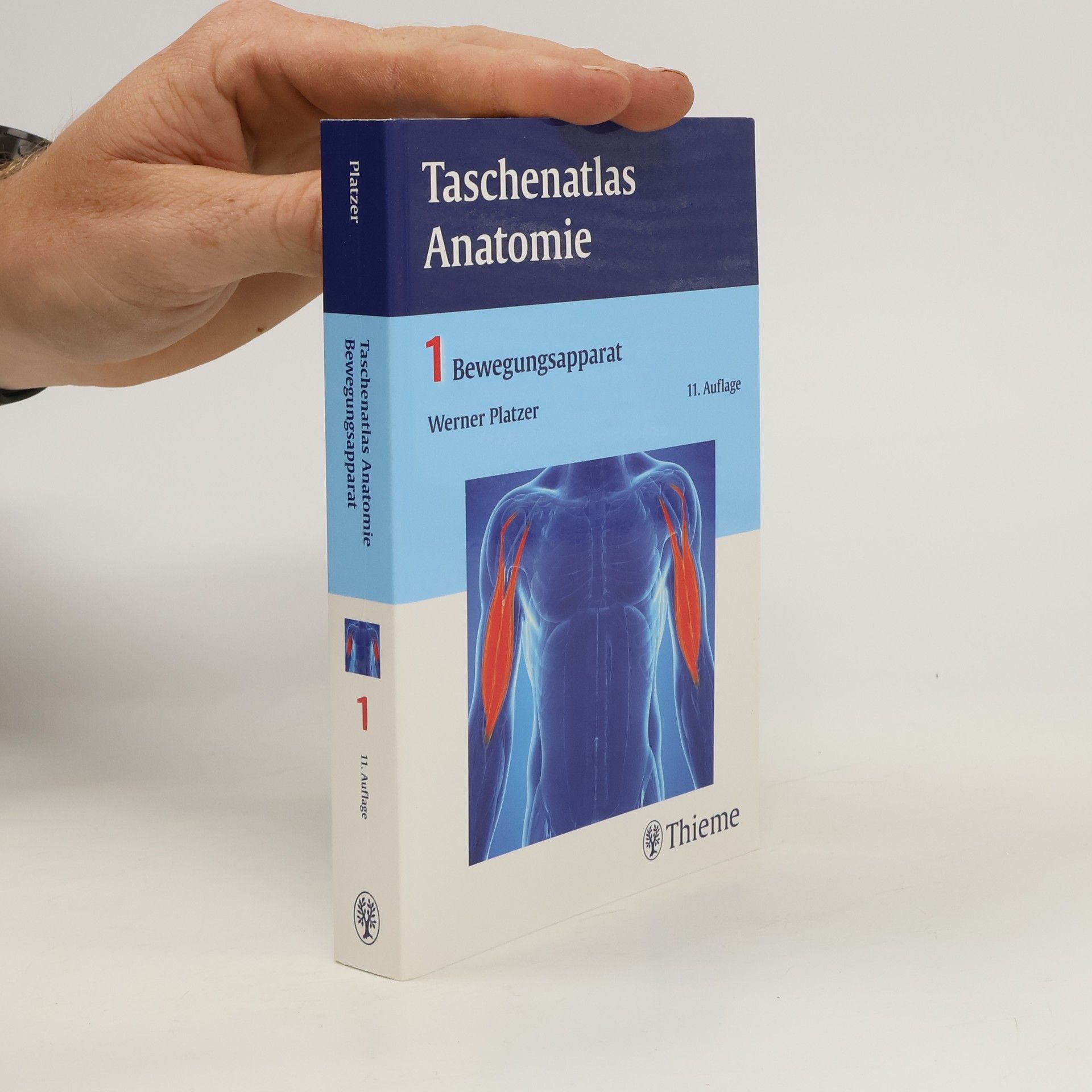 Werner Platzer Taschenatlas Anatomie