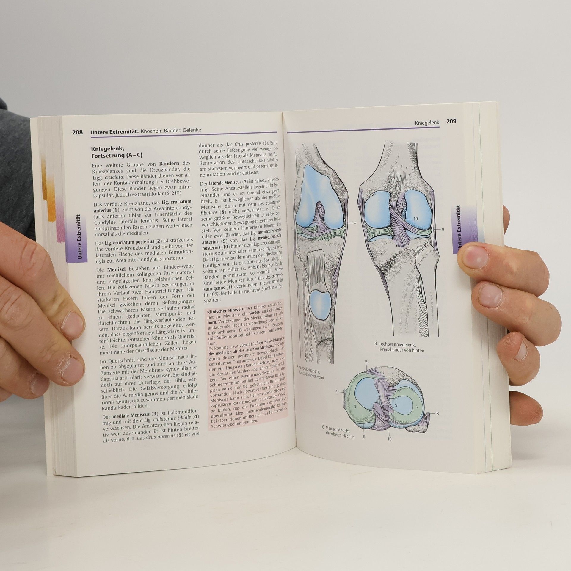 Werner Platzer Taschenatlas Anatomie