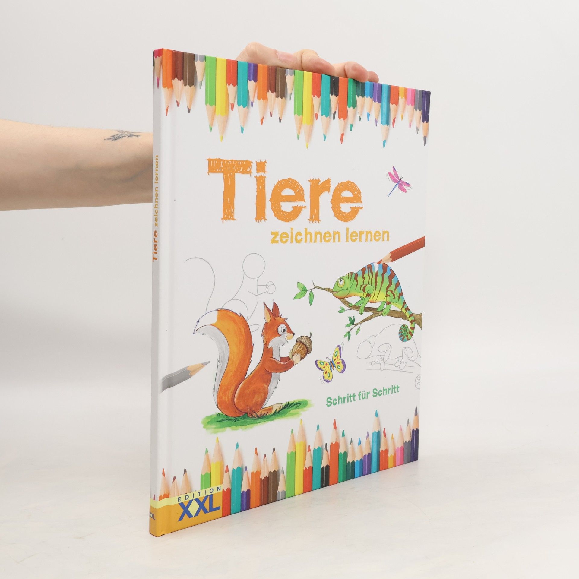 kolektiv Tiere zeichnen lernen