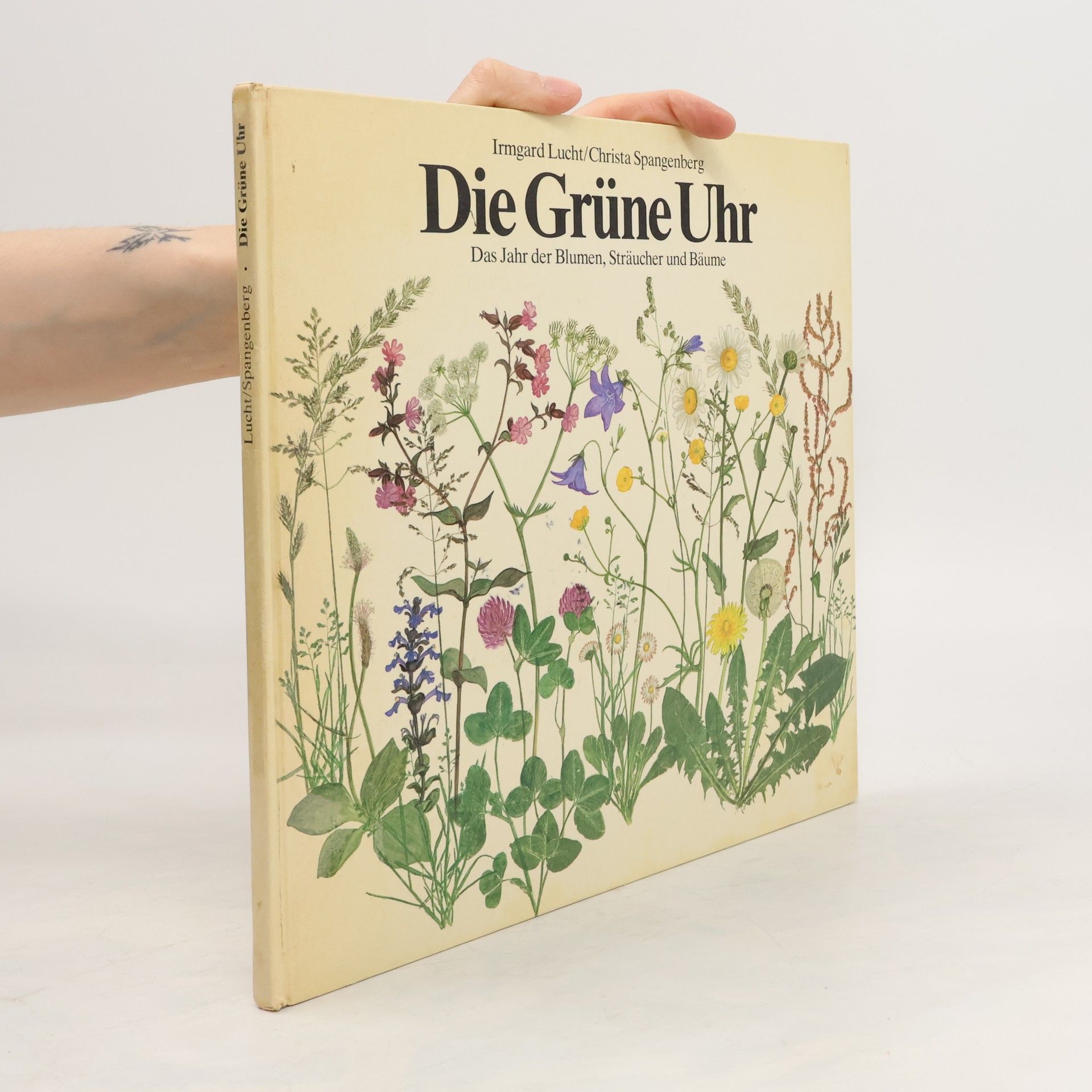 Irmgard Lucht Die Grüne Uhr